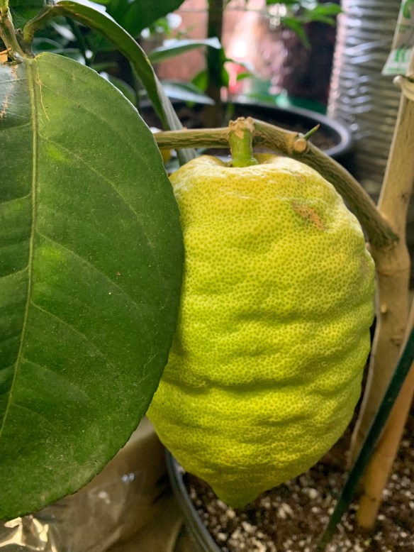 83A89EF3-3A73-480C-A3B0-B0C513F37C38