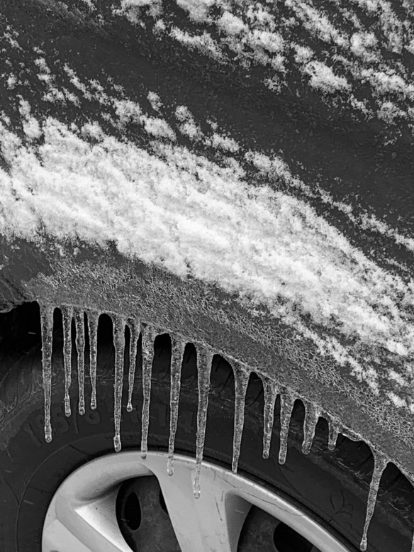 874BFC77-DB7D-4ADD-9FC6-430FCF37C09D_1_201_a