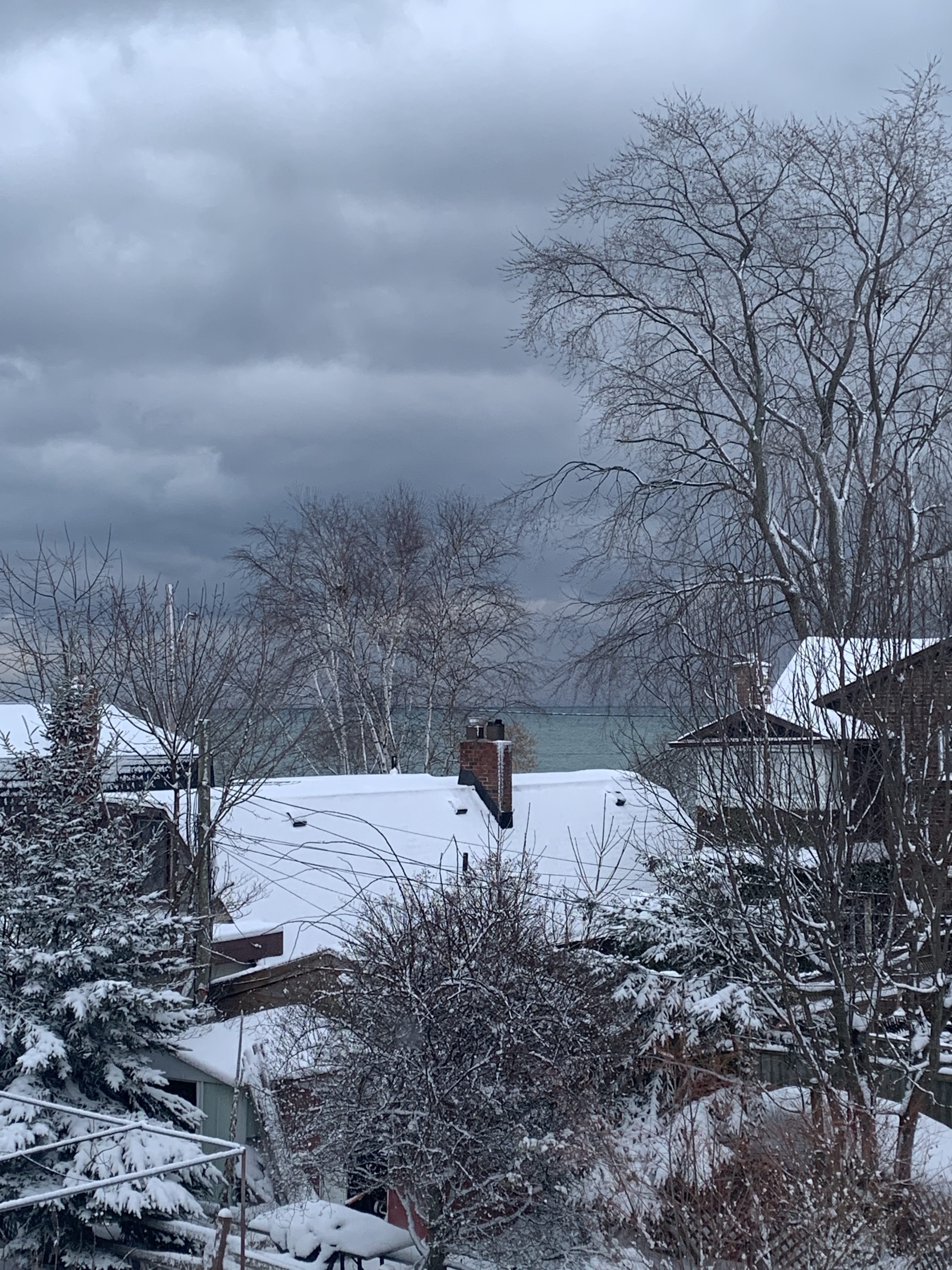 8D3F08BF-78F0-45CD-AC2C-30DD6105CB15