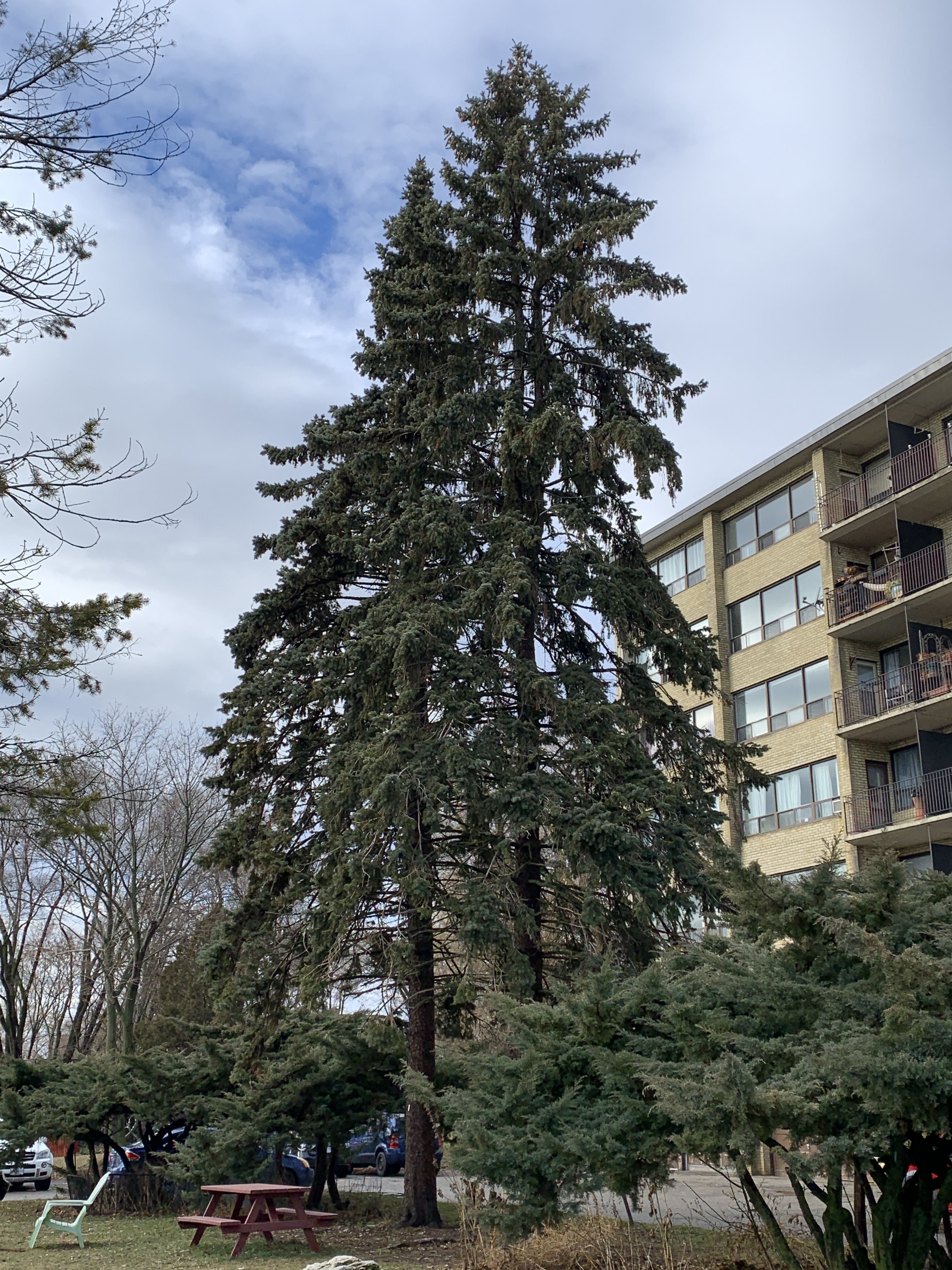 9183A0E6-73FC-4A24-98C5-D3E6E7EF0EDD