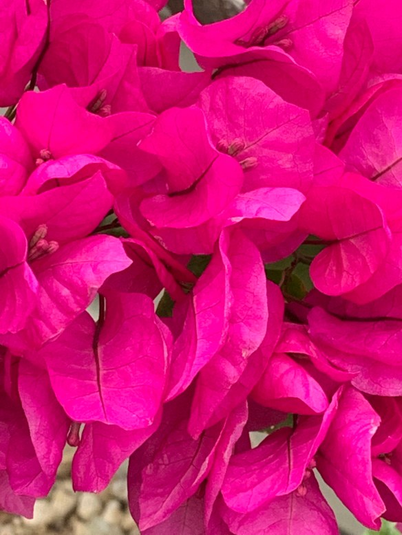 95FE6E0C-A2BE-47EF-B3EB-242AC2497803