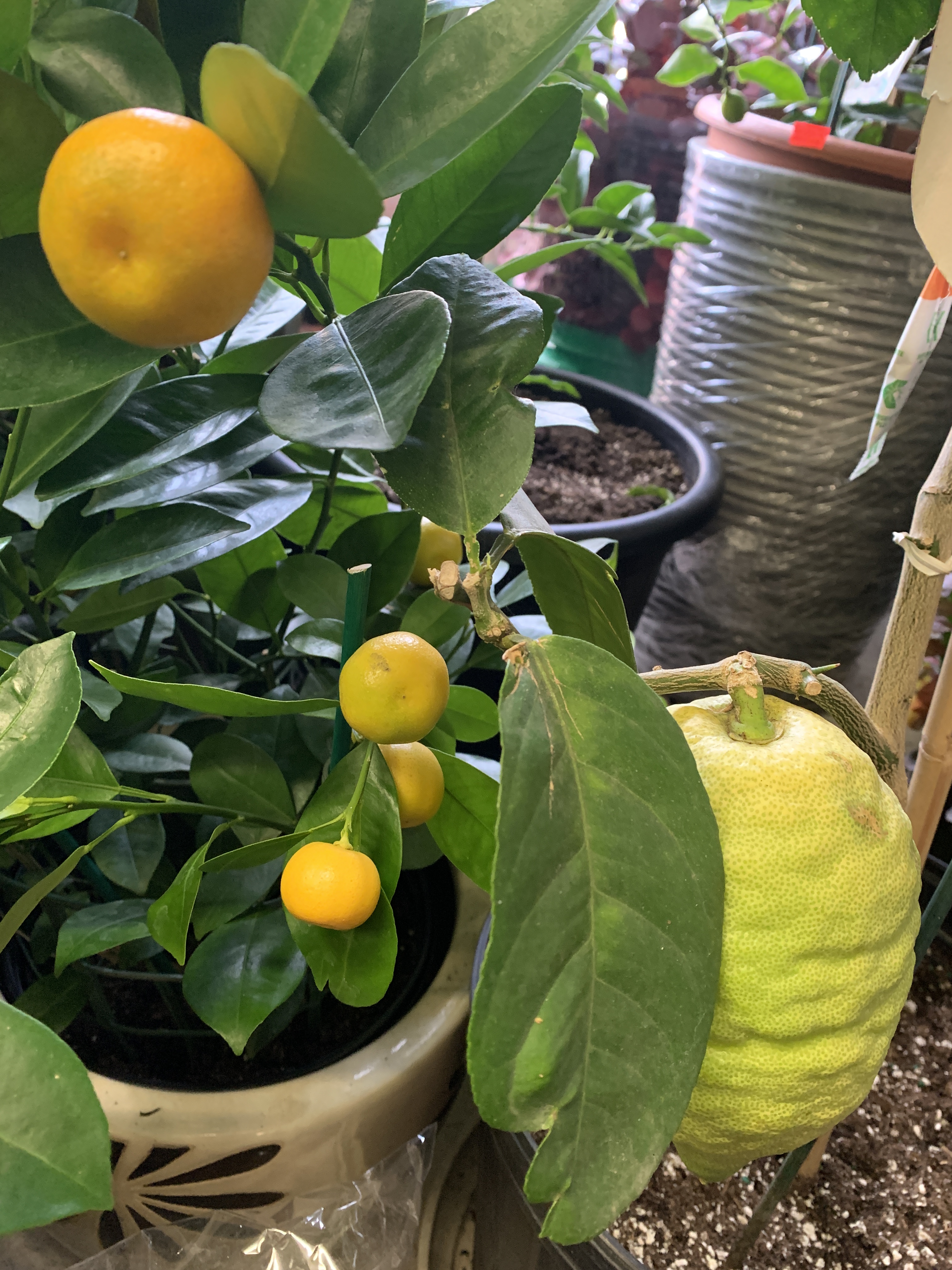 96549D1D-6356-41DA-86D8-E7B59D892E23