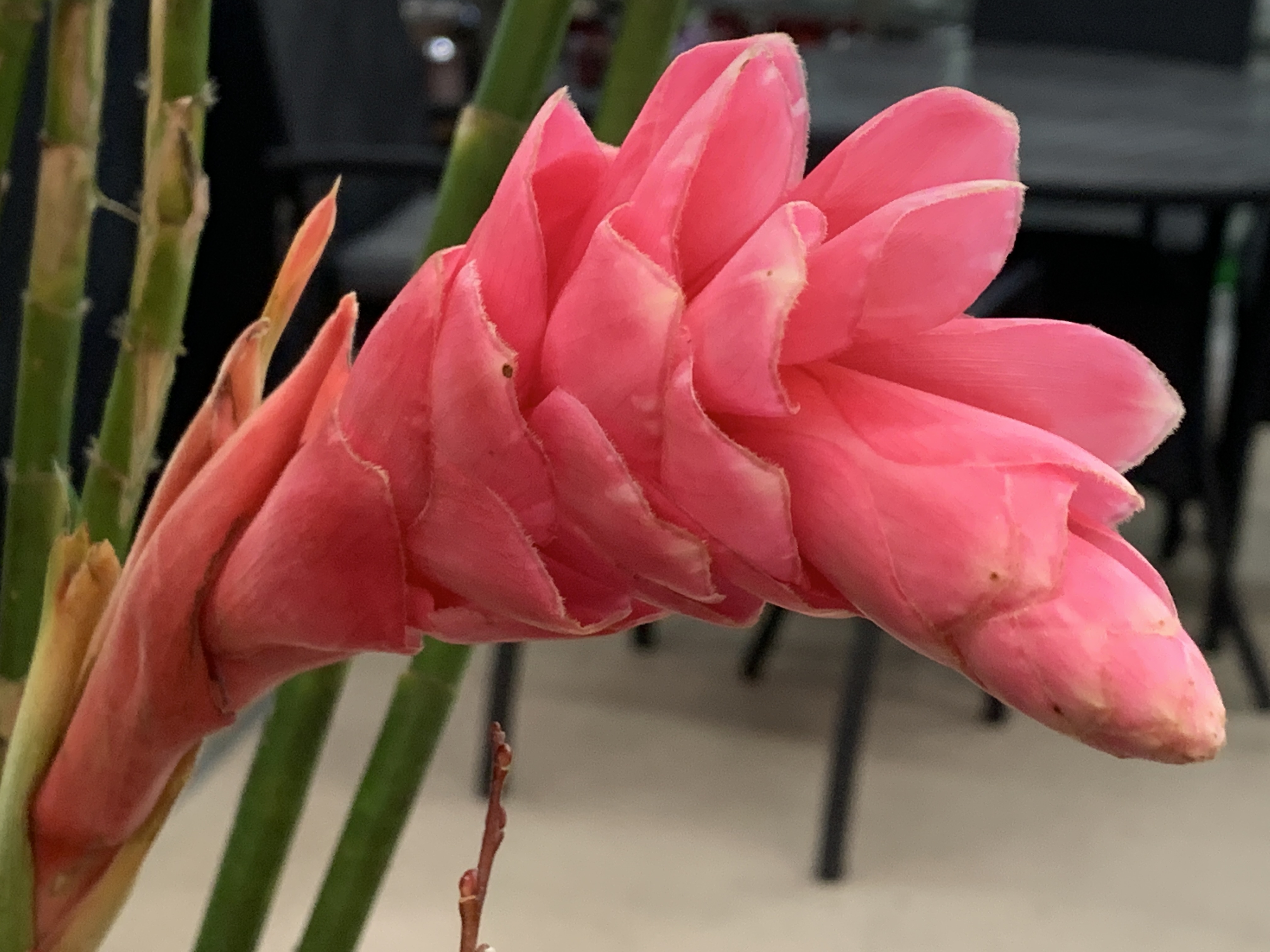 96BEB6DB-77DD-47D2-B942-E4EA4FC41C31