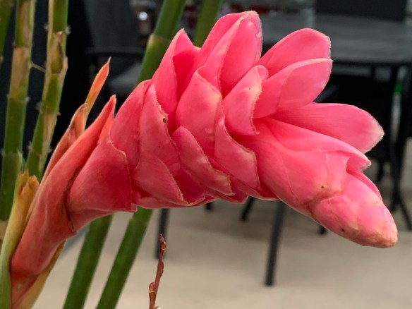 96BEB6DB-77DD-47D2-B942-E4EA4FC41C31