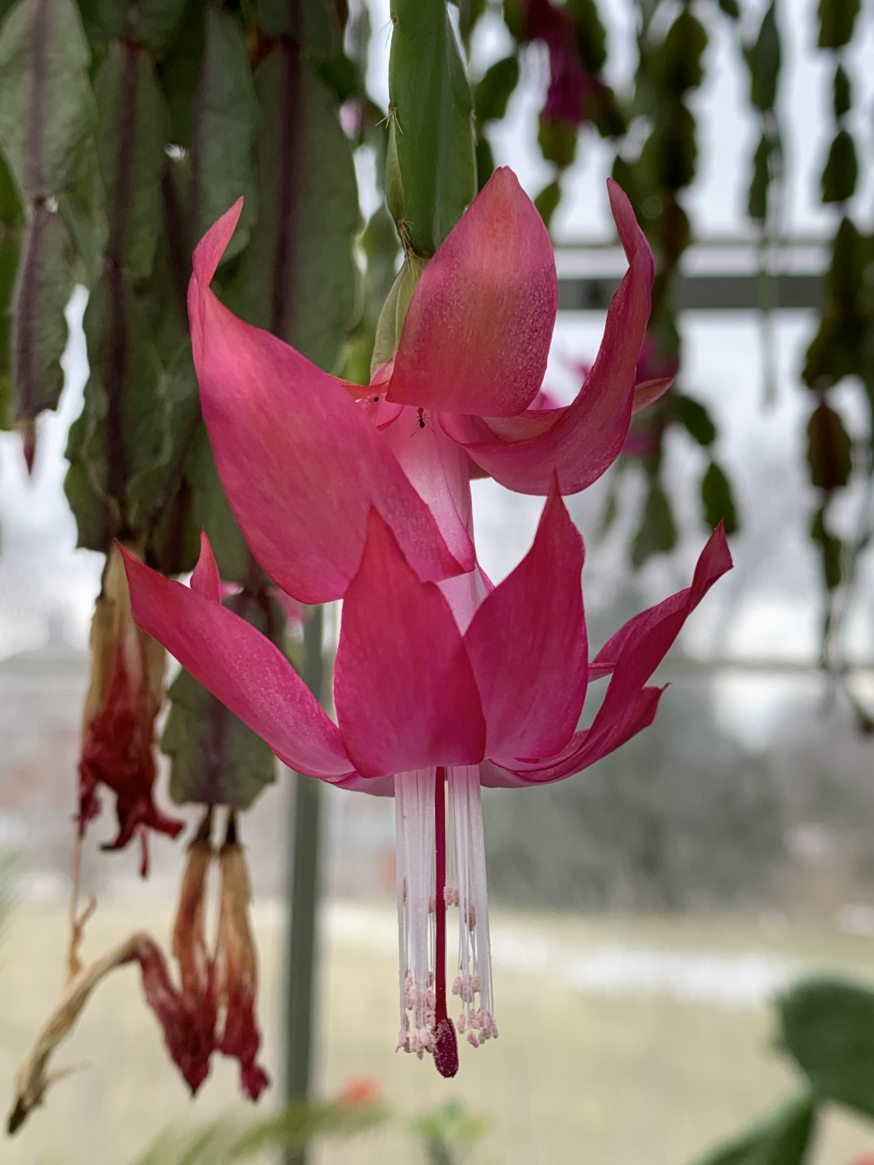 A29B407A-A6E6-4C02-BB36-D88F3B83FDA1