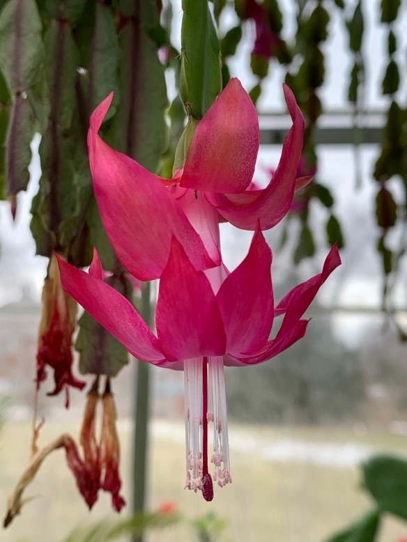 A29B407A-A6E6-4C02-BB36-D88F3B83FDA1