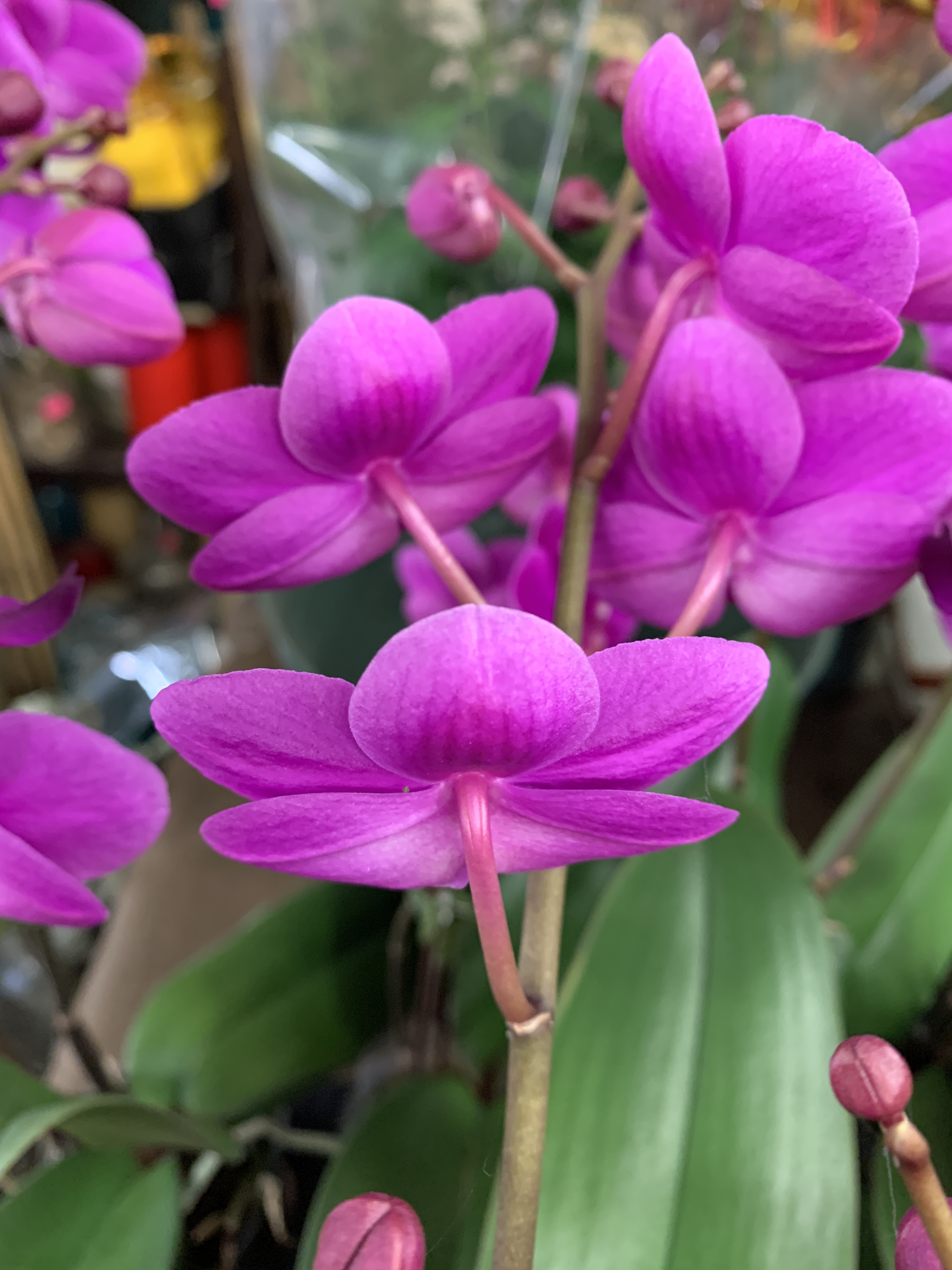 ABCE2664-2C92-44D9-8F7E-85B129D44CF3