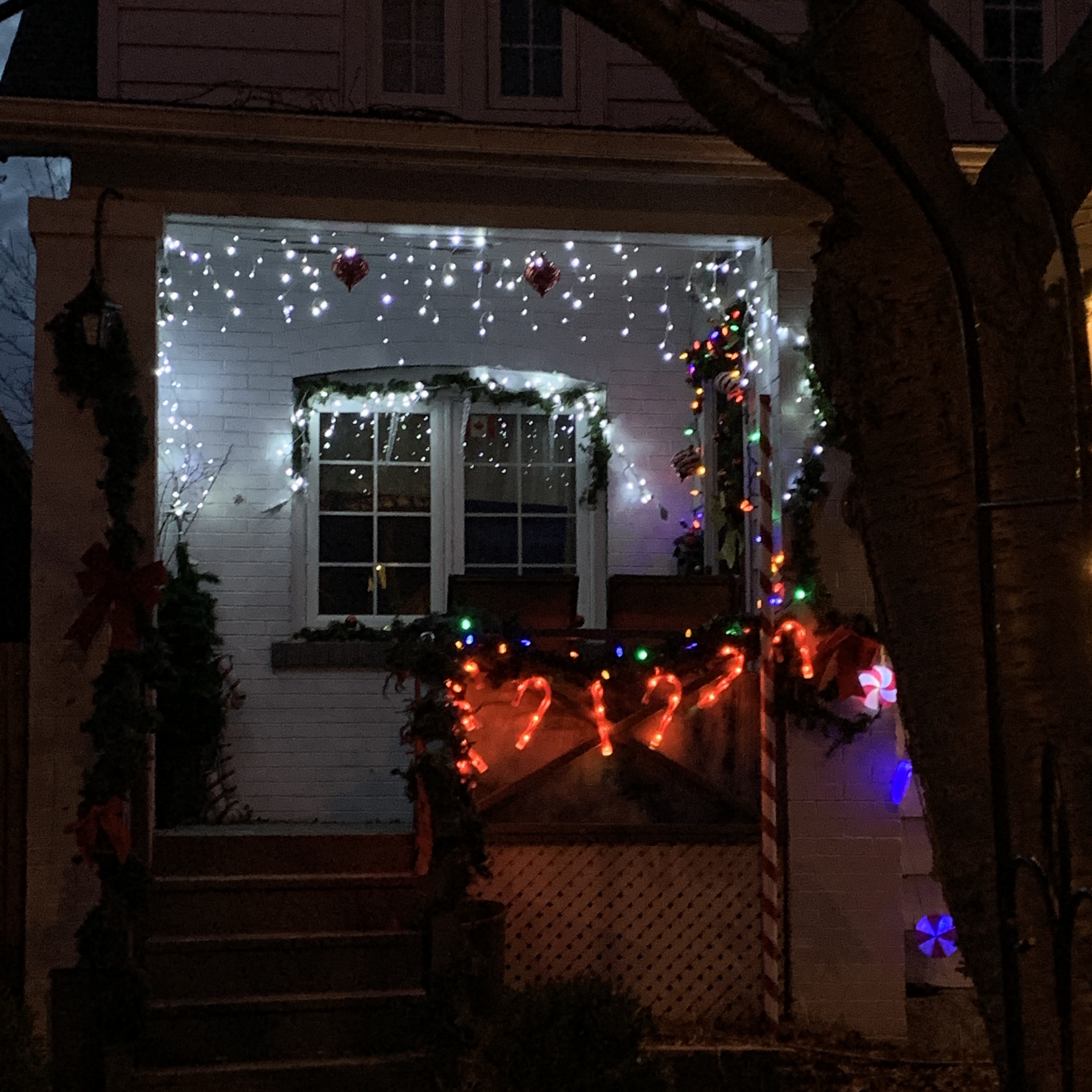 AD10B46F-E5F4-4C7B-9F07-A3F7D396AB0D