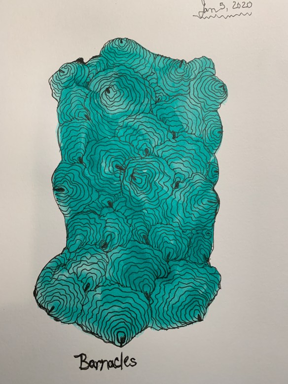 AD747B4F-E142-4138-8D53-98AEED876FE7