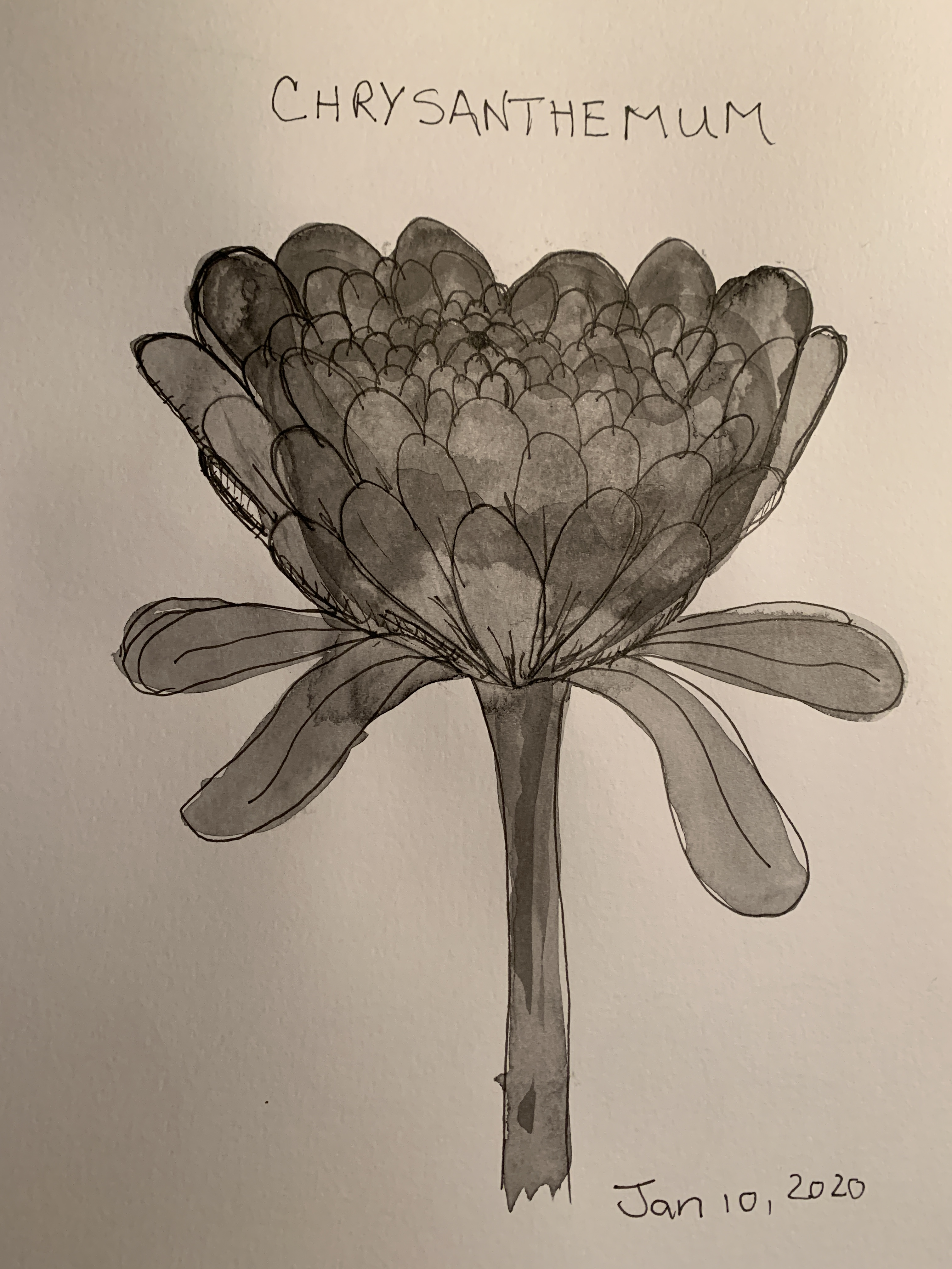 B70ACFE7-48A3-4523-98F8-A16AB1305CF0