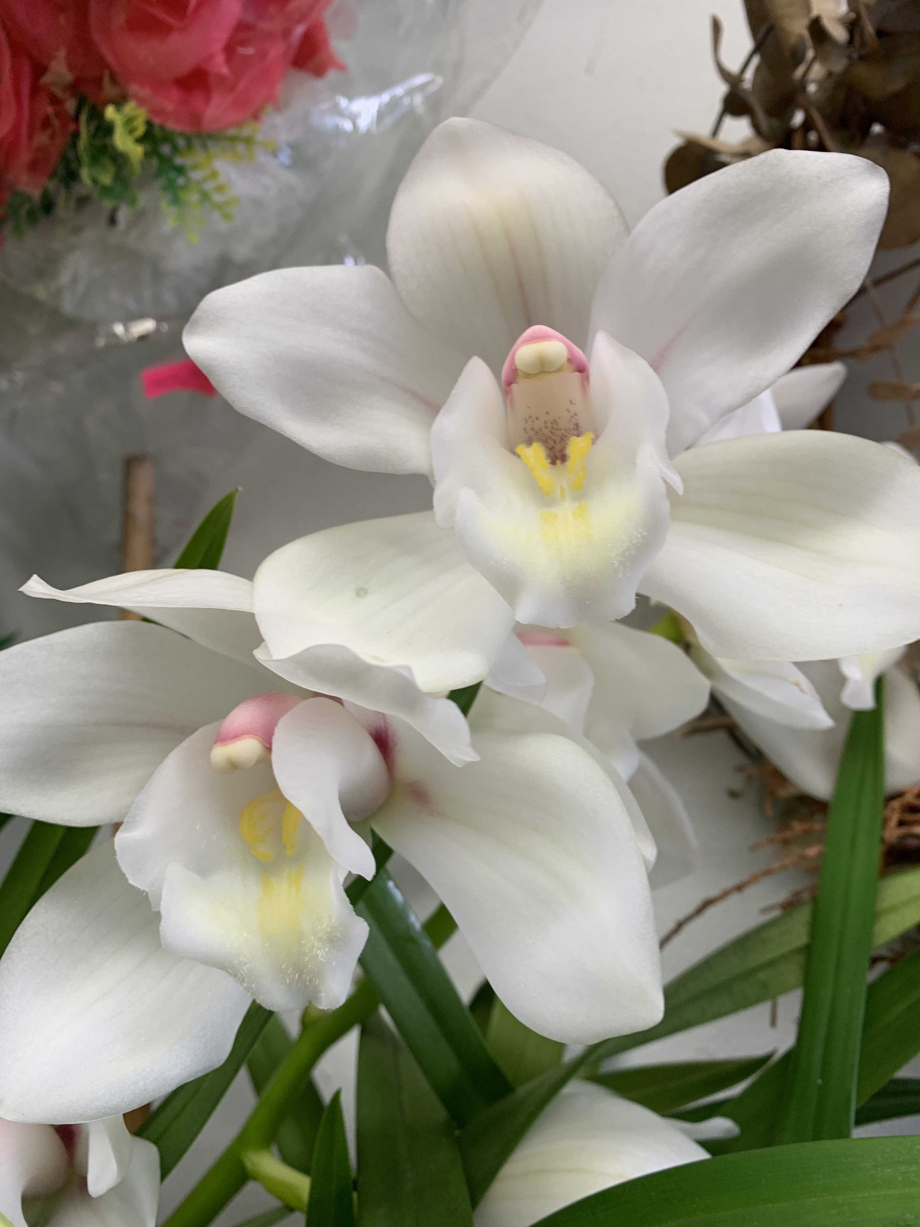 BBB5621E-60C0-414F-AC8D-64B537DFD8B0