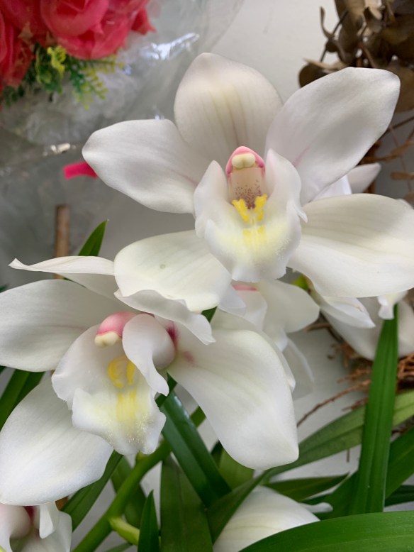 BBB5621E-60C0-414F-AC8D-64B537DFD8B0