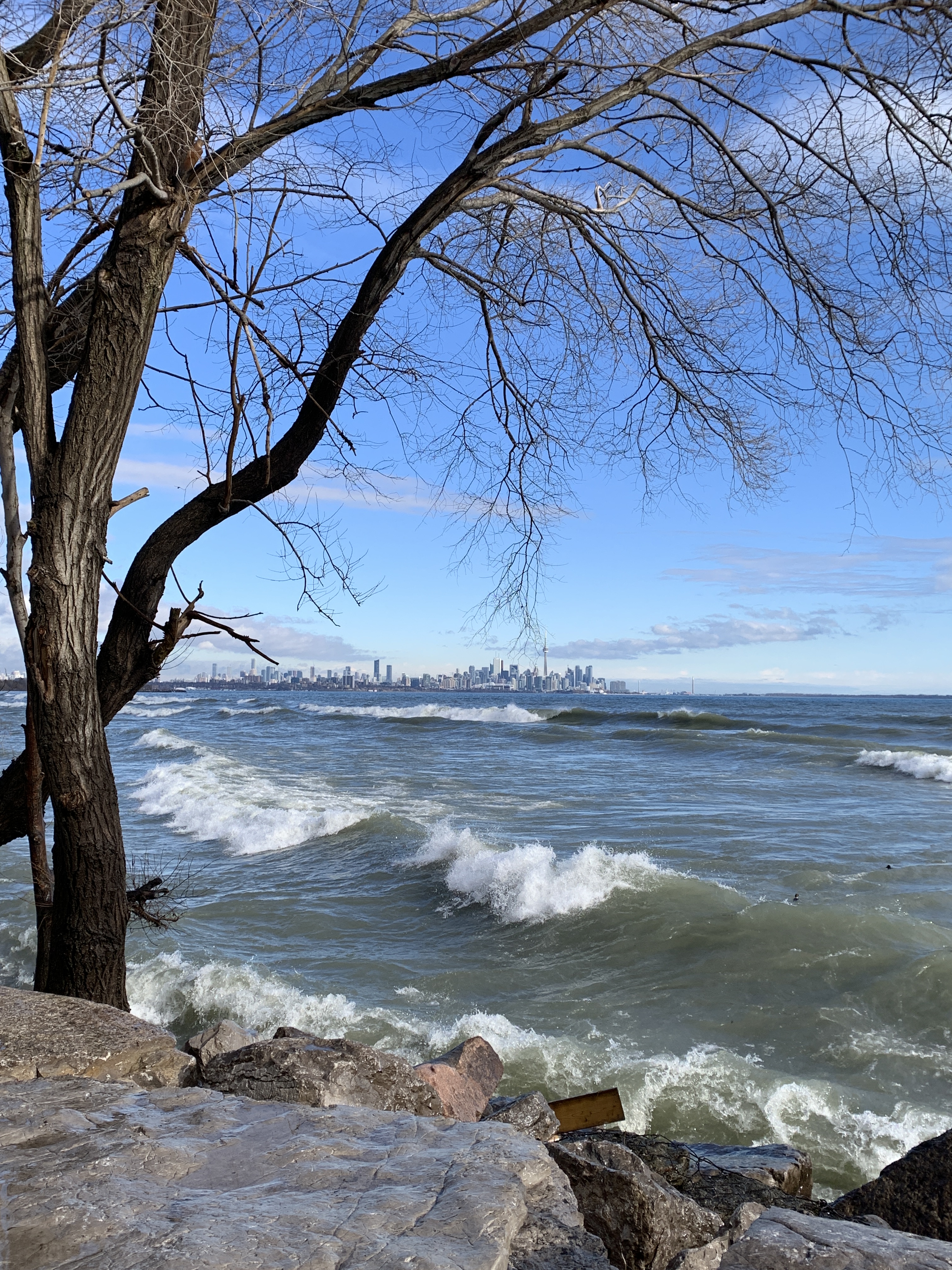 BFE321E9-4C89-4F3B-A379-E05170590E14