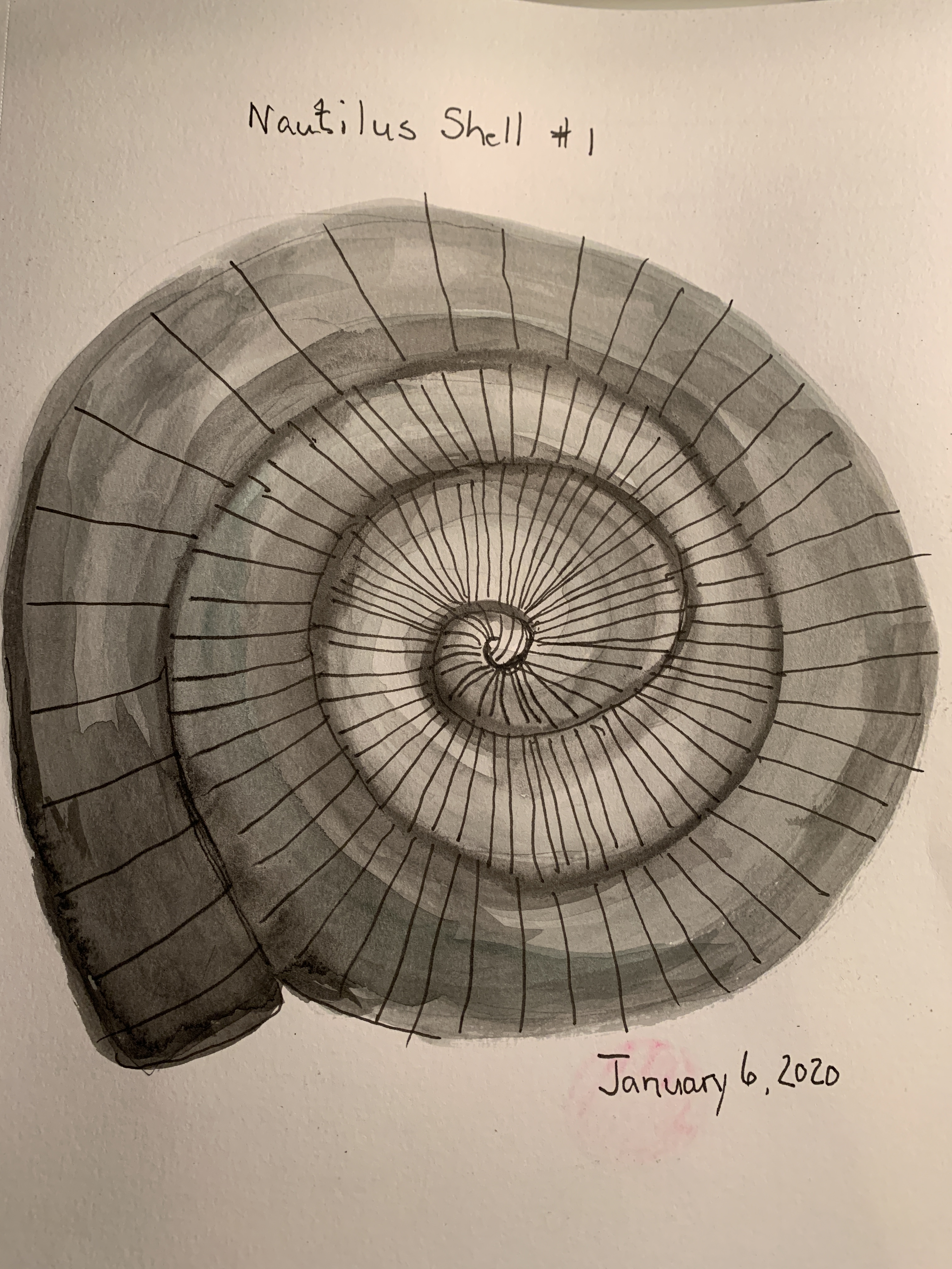 C194D2F9-459E-4475-BE9C-355CF5DDDA8A