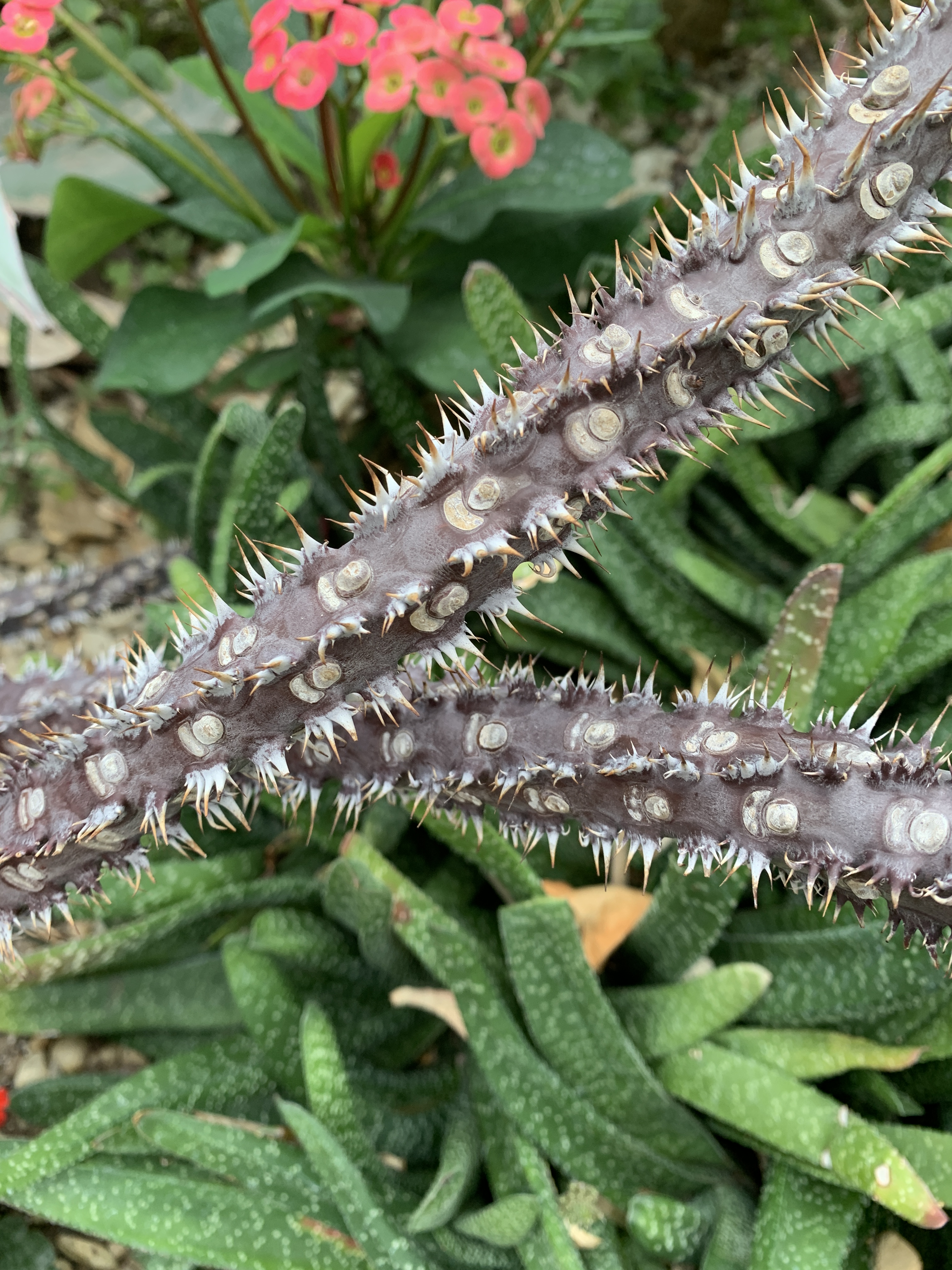 C223C856-8459-4FB0-8614-FB10484F905A