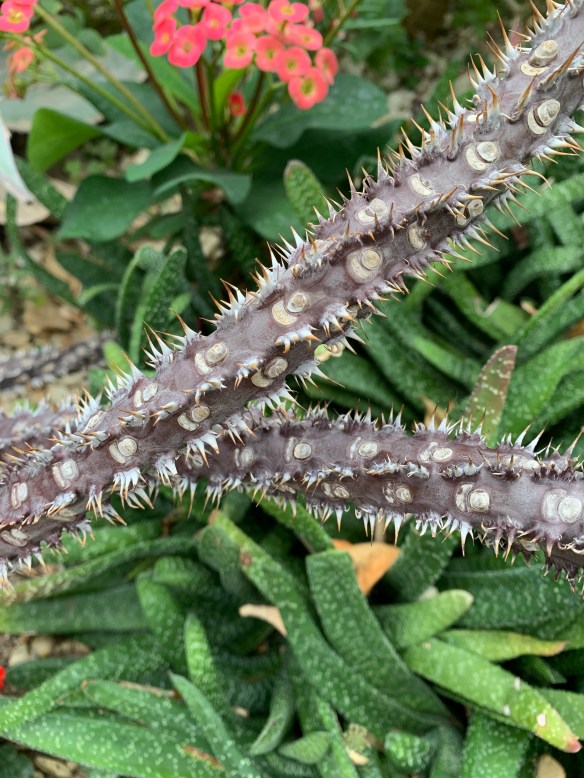 C223C856-8459-4FB0-8614-FB10484F905A