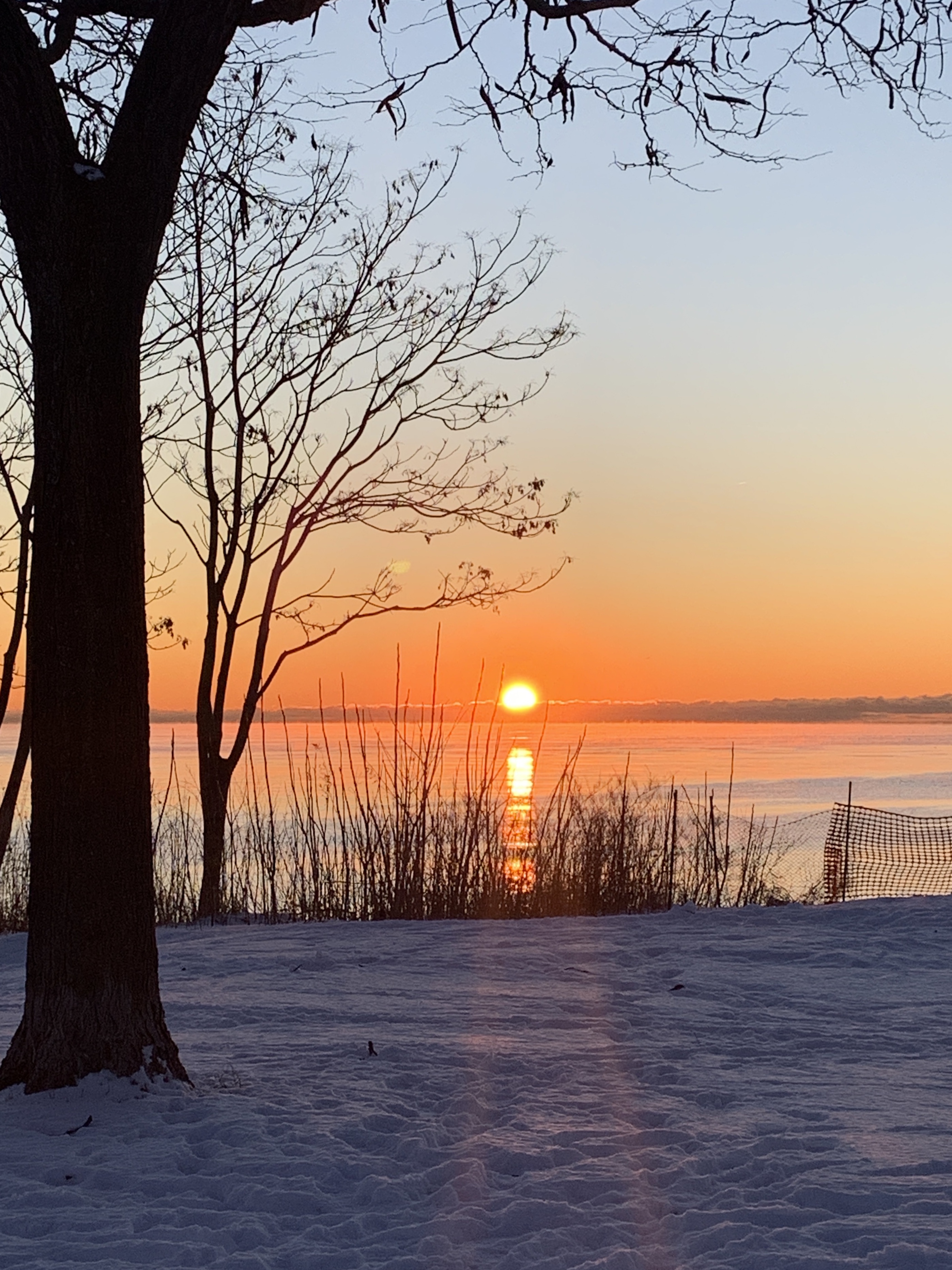 CCB01B98-BBD6-4D39-B25F-AFF65AC88C47_1_201_a