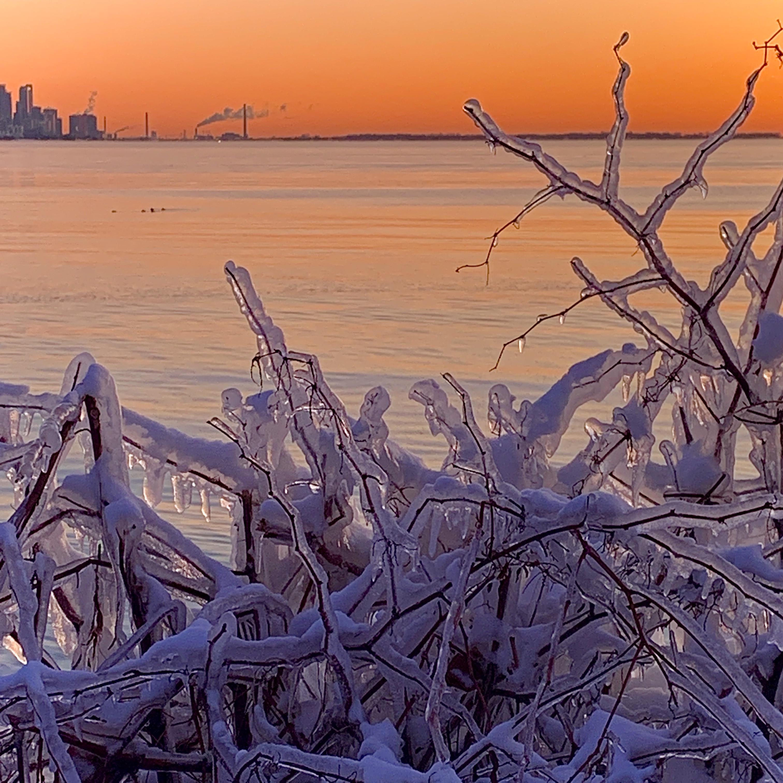 D341AC28-4E26-4DBF-AC3F-A49B86AF0464_1_201_a