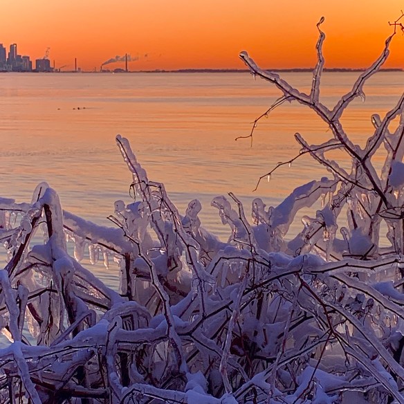 D341AC28-4E26-4DBF-AC3F-A49B86AF0464_1_201_a