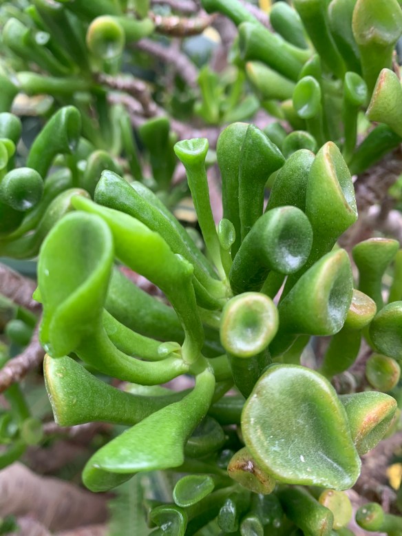 D8B85A6F-2379-4565-8AB7-D4C178B18858