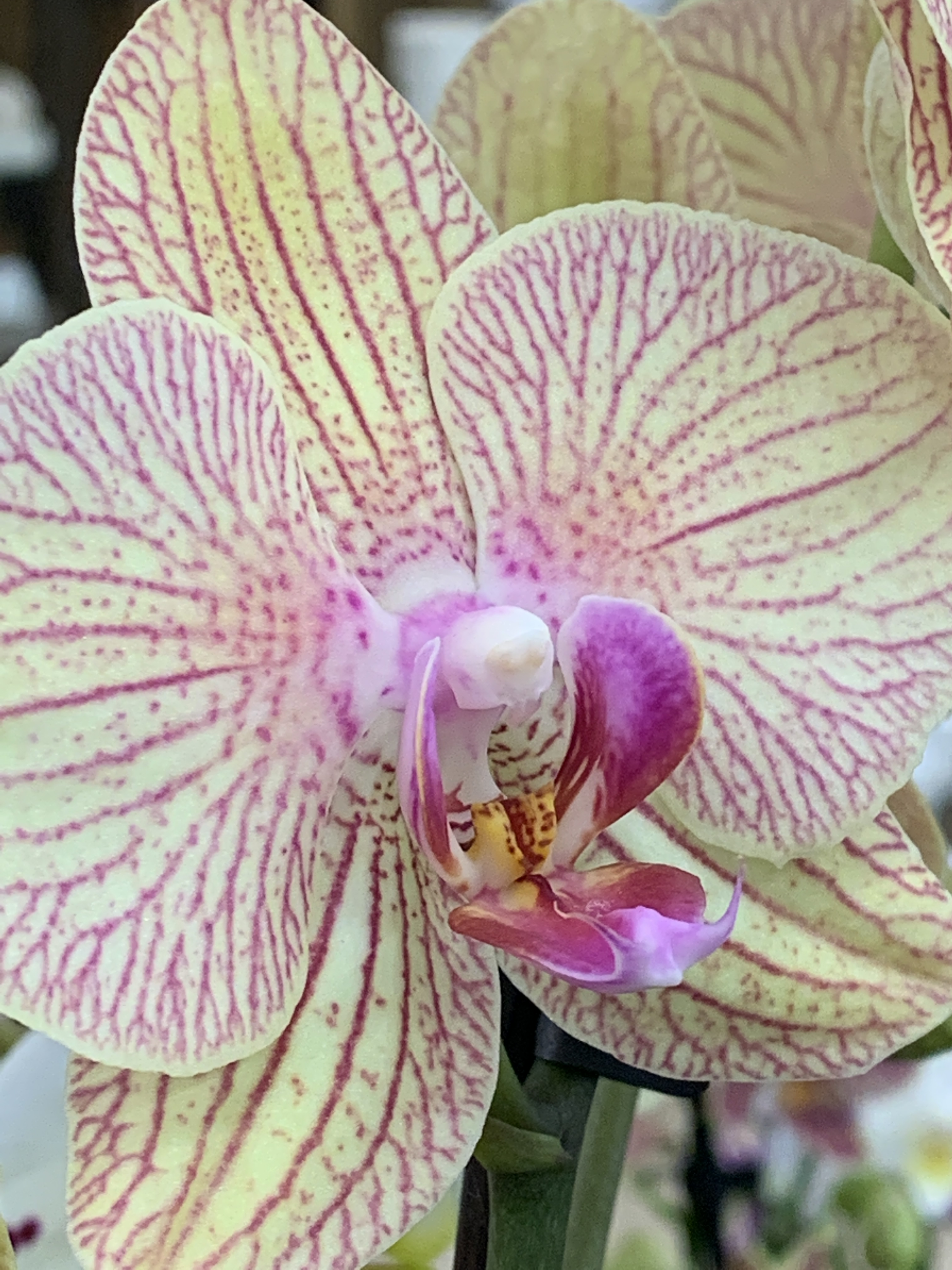 D982FF6F-7D50-466C-91D8-4CC6D68FC986