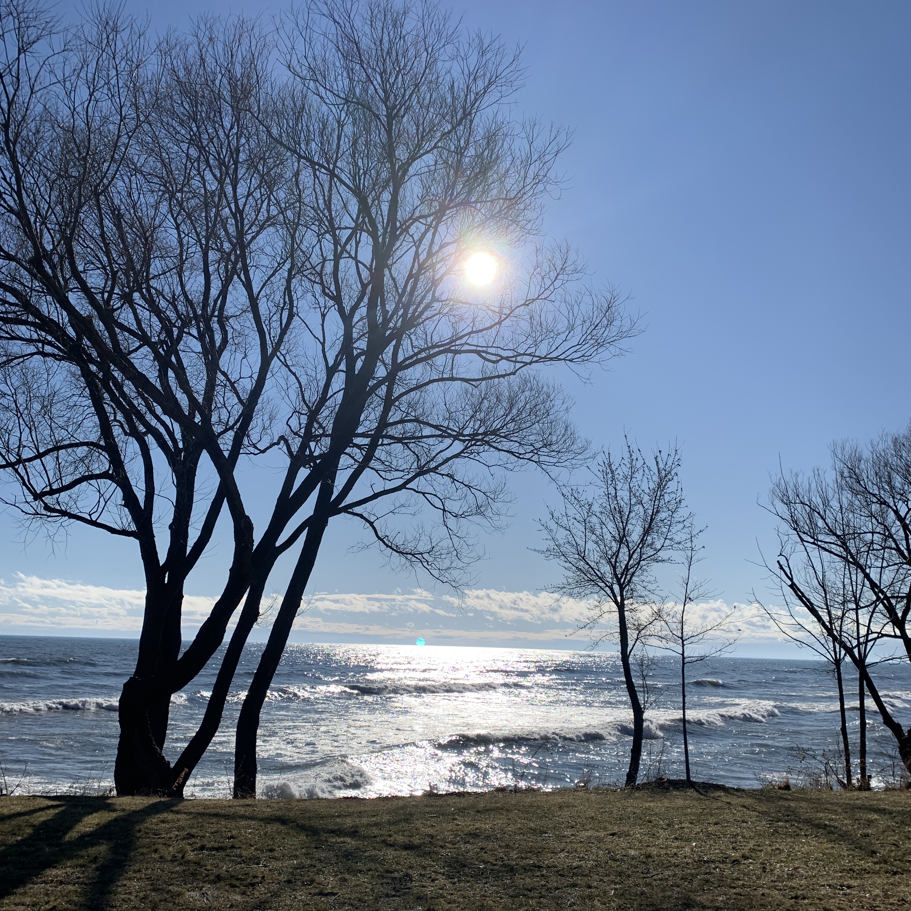 DB0F9E5E-5893-4CBF-BB5C-8069449B450D