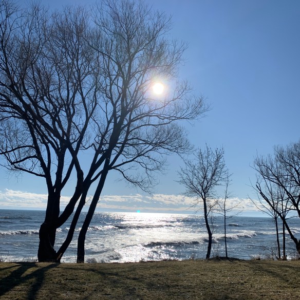 DB0F9E5E-5893-4CBF-BB5C-8069449B450D