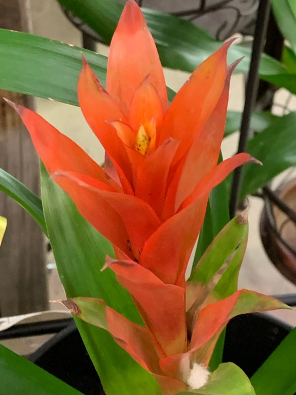 DC0537A6-B29B-45F8-AF01-F6A734ED9029