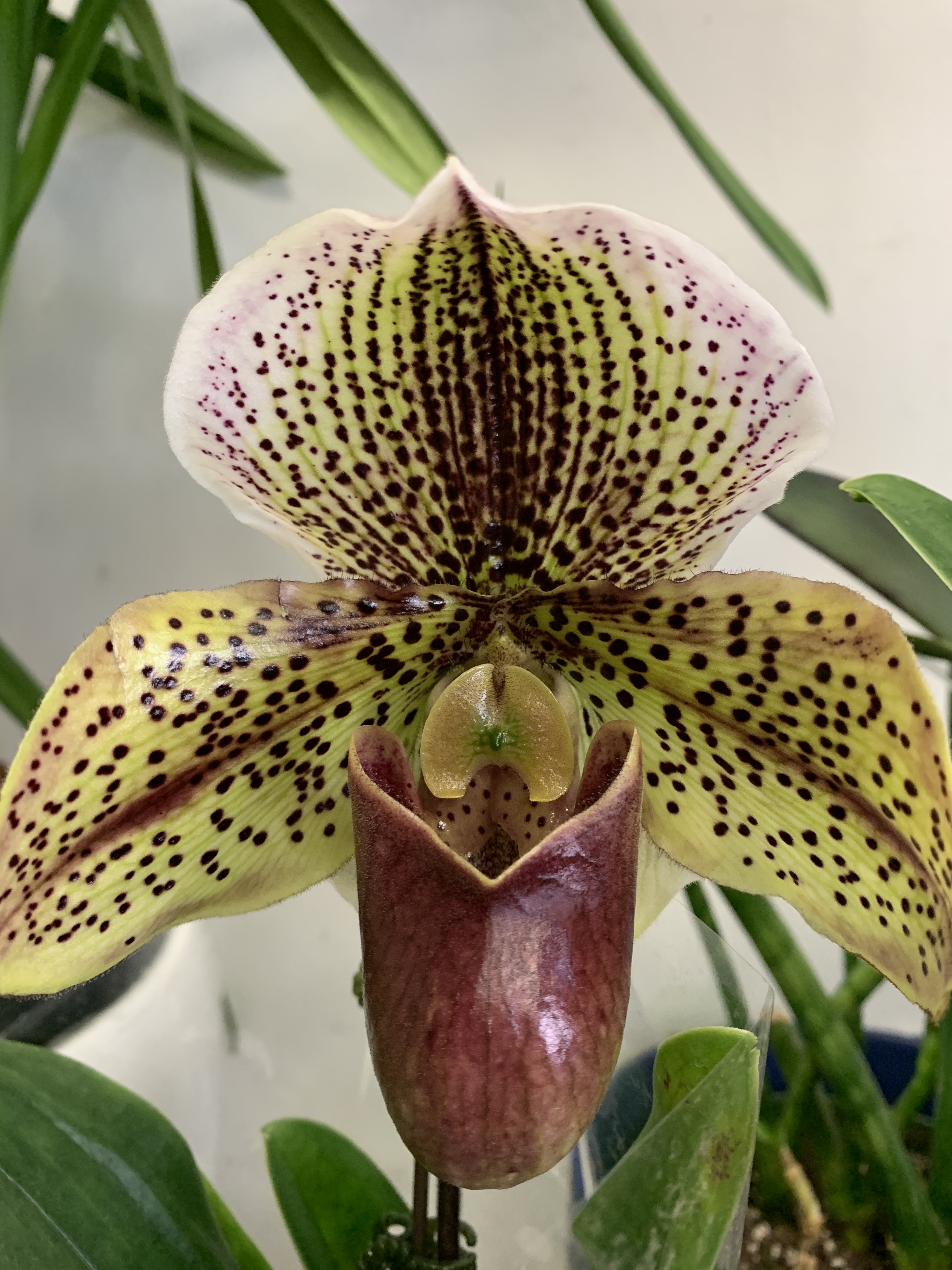 E12C1AB8-53EB-4368-A396-8D98CD360BA2