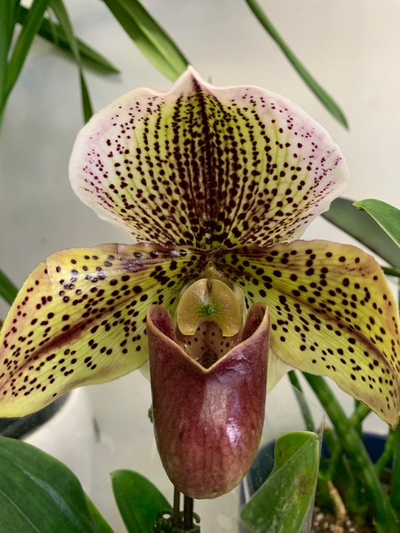 E12C1AB8-53EB-4368-A396-8D98CD360BA2