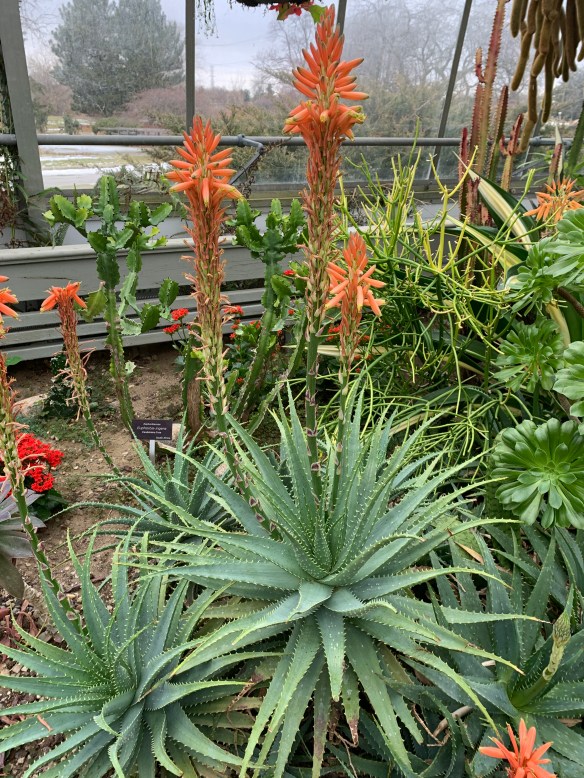 E39F5146-6EF4-4135-AE1B-B087523CF541