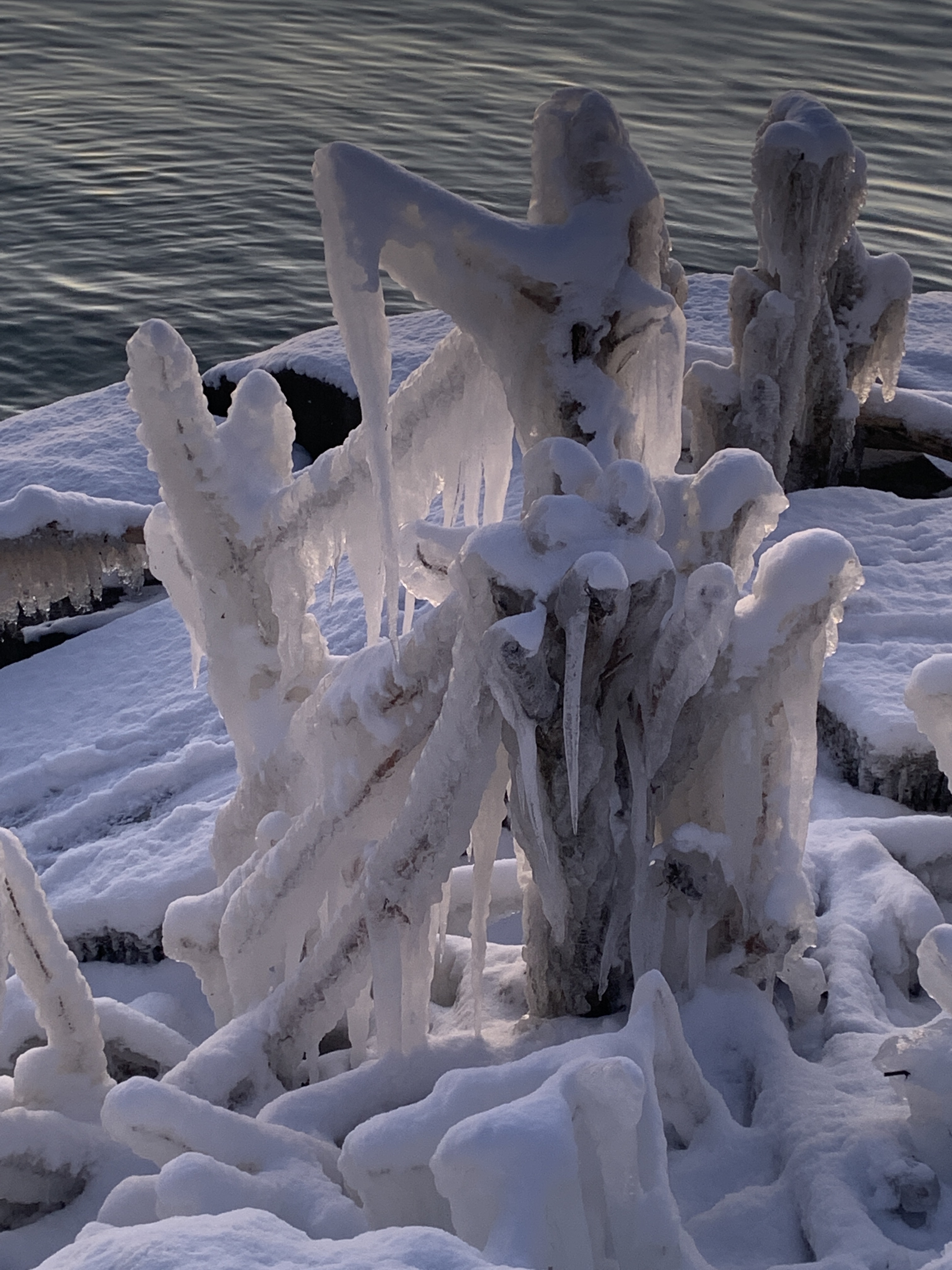 E7B43E5F-0B53-490E-83FD-E4AC6F110422