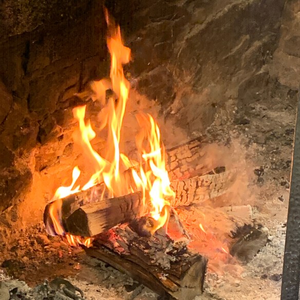 EE47EC3C-775E-48D6-8E2C-716C5FA620D9