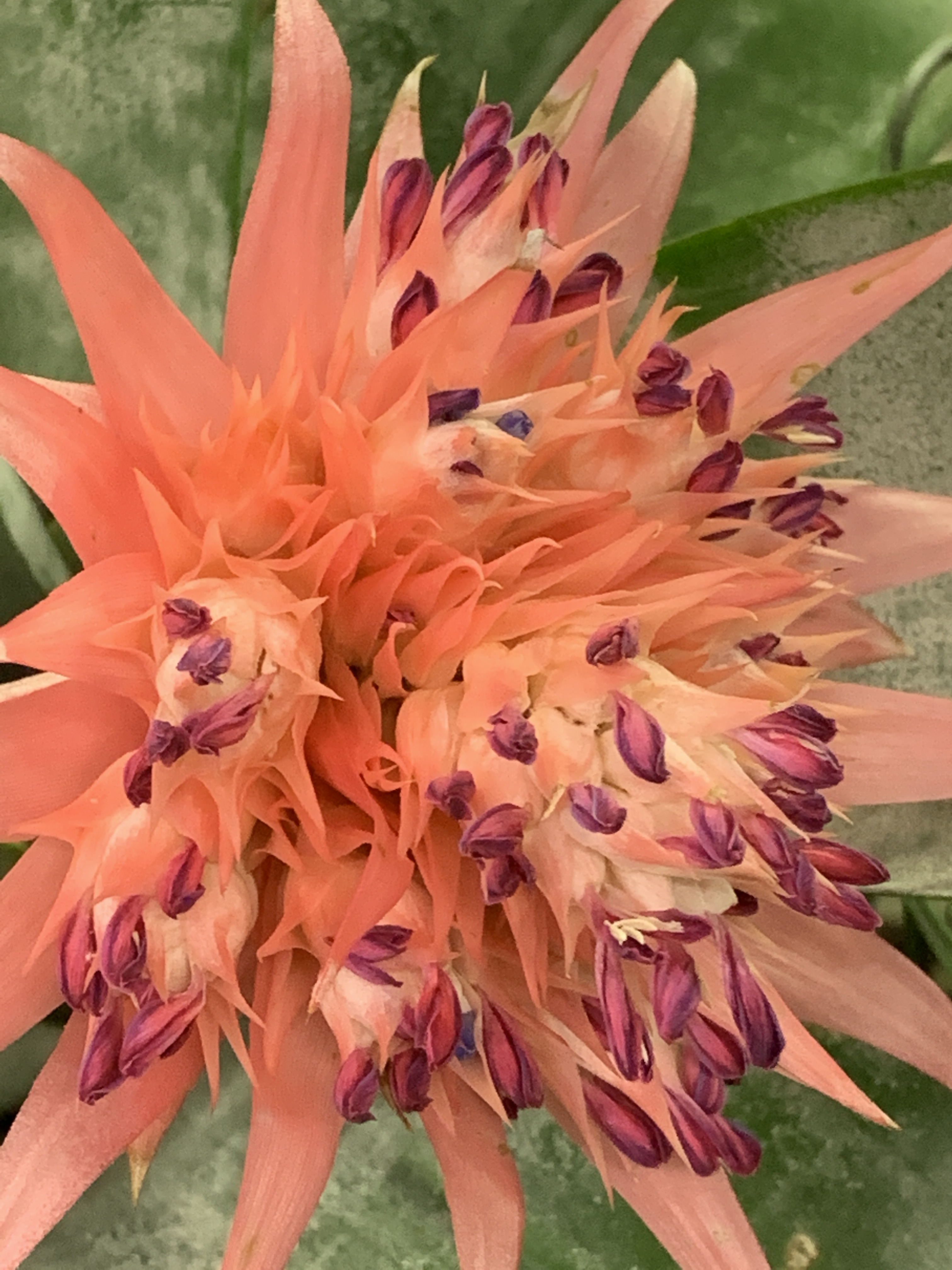 F1D77F3A-2A28-40B8-9311-B504A81BFD6E