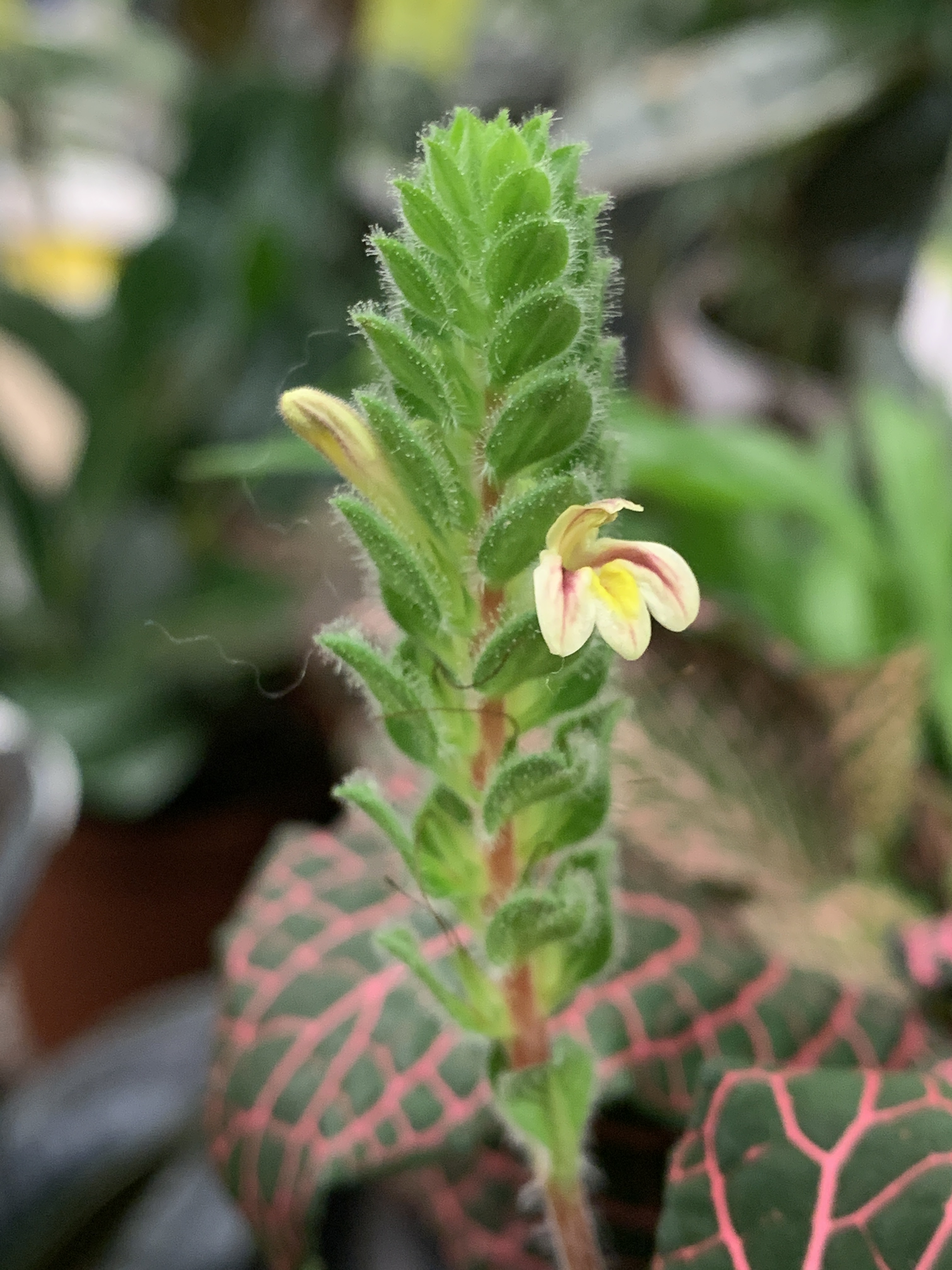 F215175D-54A8-43B2-B640-756521CCB21F