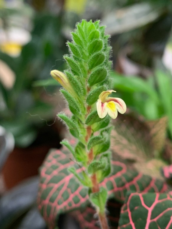 F215175D-54A8-43B2-B640-756521CCB21F