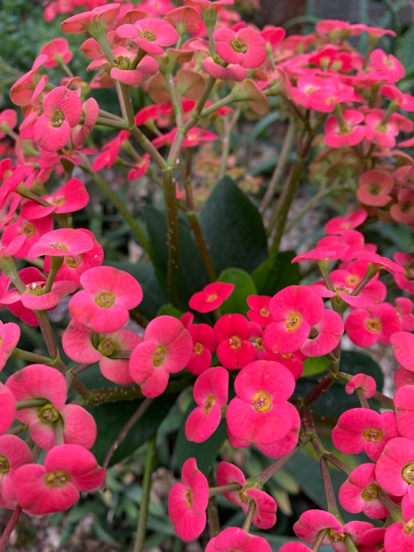 F308F967-3717-461B-A9FD-4565AA1AB53F