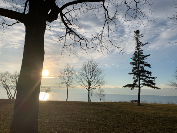 FD246333-50EF-4C24-B253-53A534FCC332