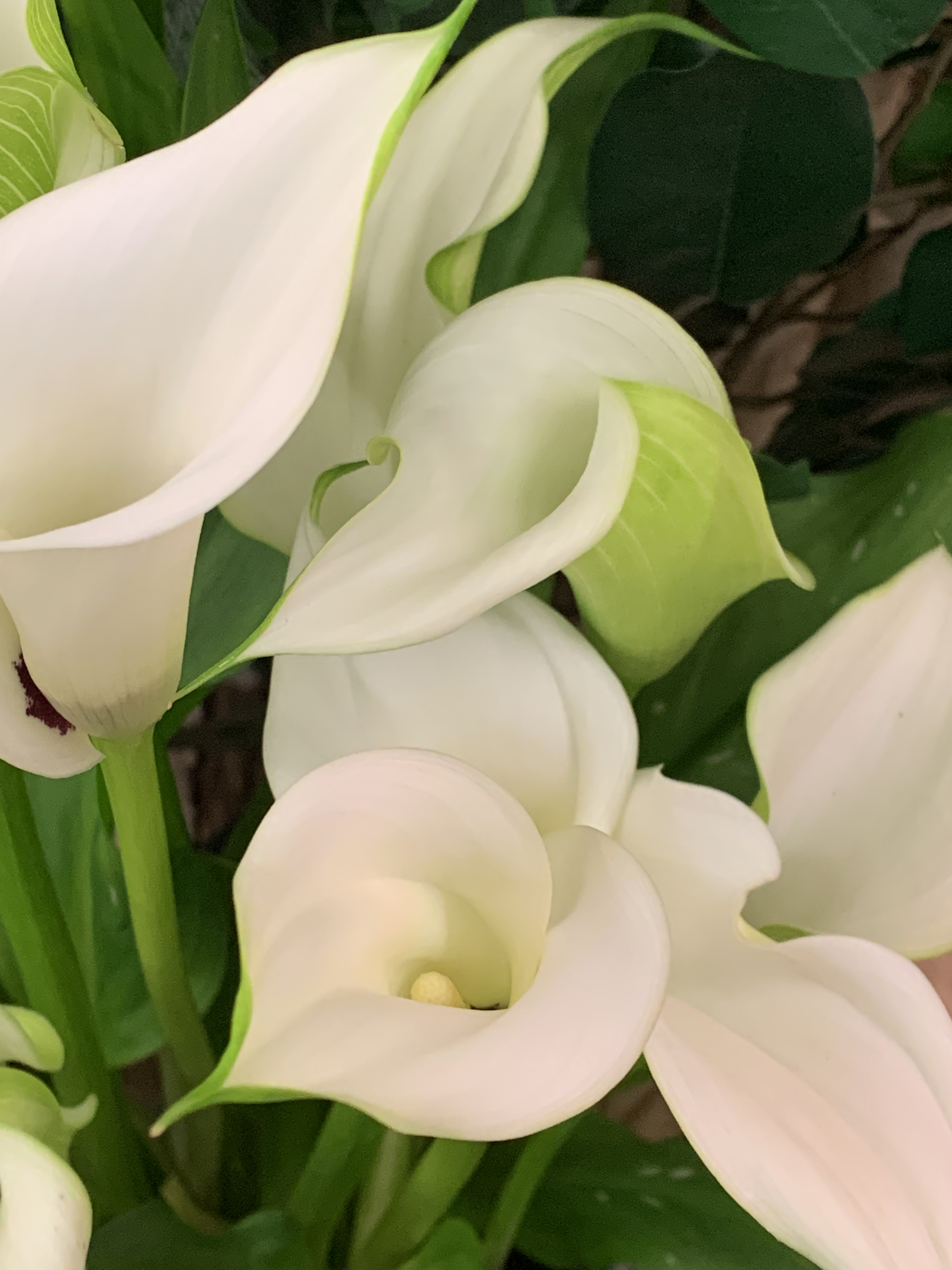 FDC3CC3C-616B-4F61-9082-9A591A4348A4