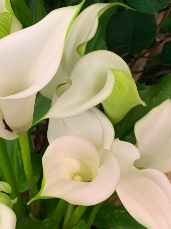 FDC3CC3C-616B-4F61-9082-9A591A4348A4