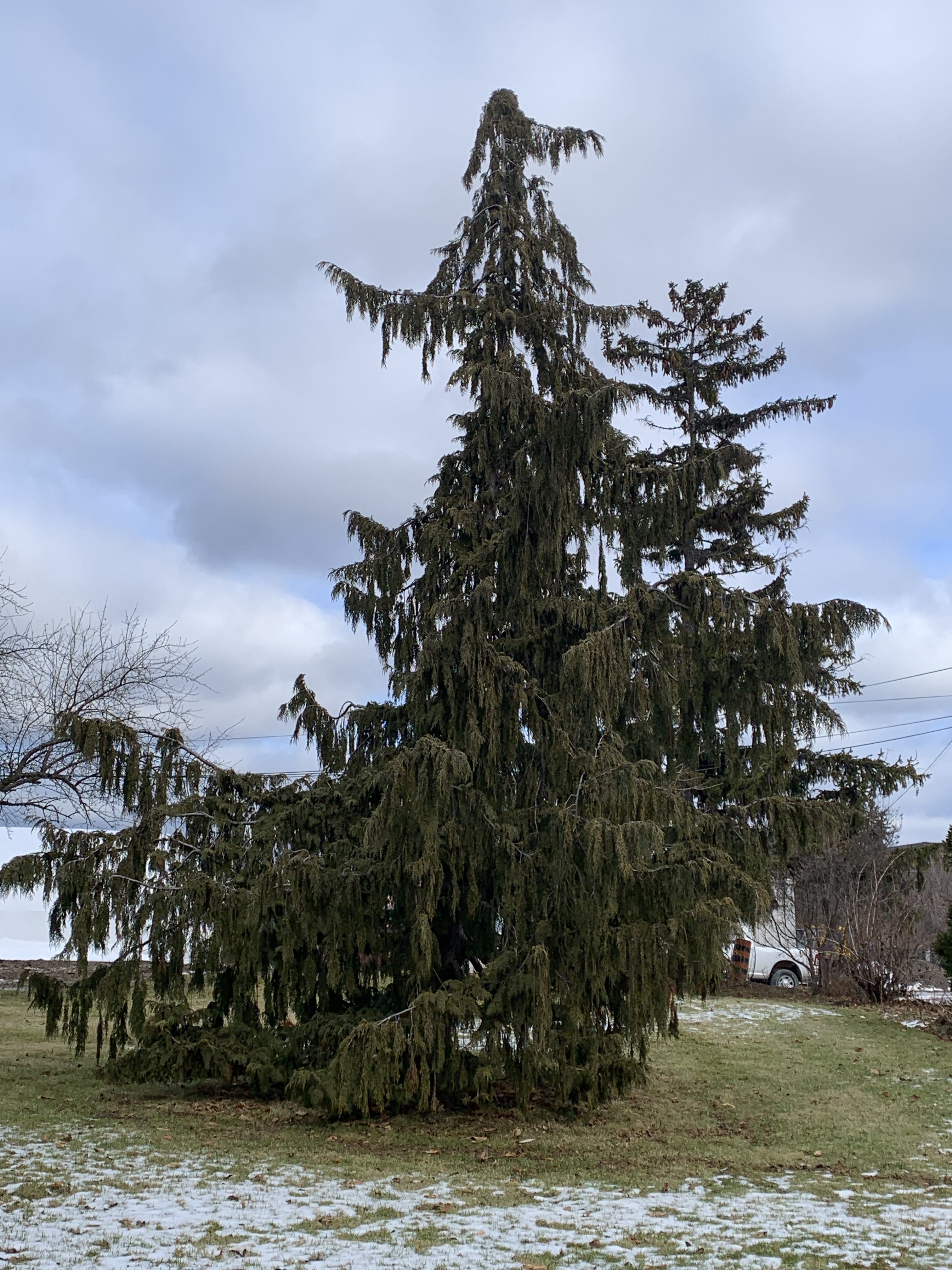 12318A79-4A7A-4DF7-A45B-0E0EAECDA235