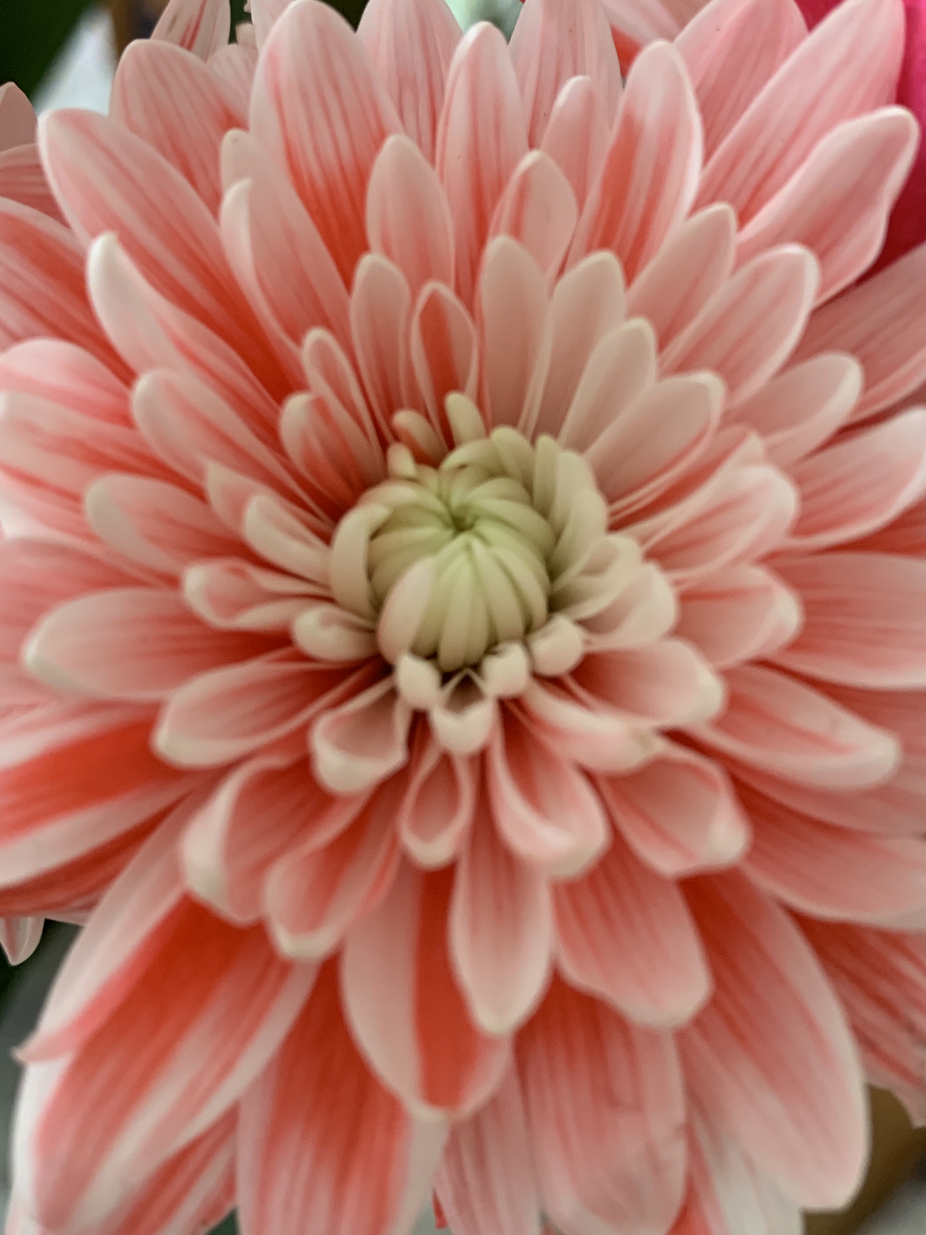 25CCF96A-9F5B-47BC-A976-FAB38103EE39