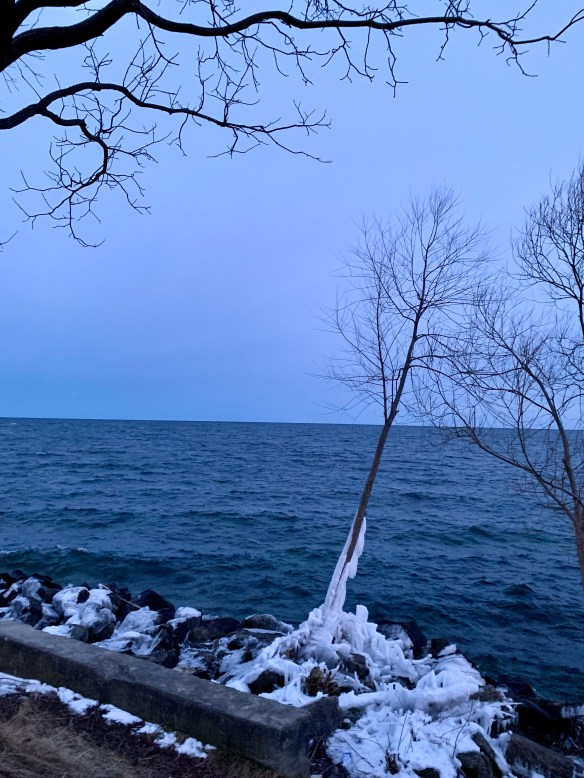 2CA5B7CB-47A2-4C0E-A21D-DE5833B08618_1_201_a