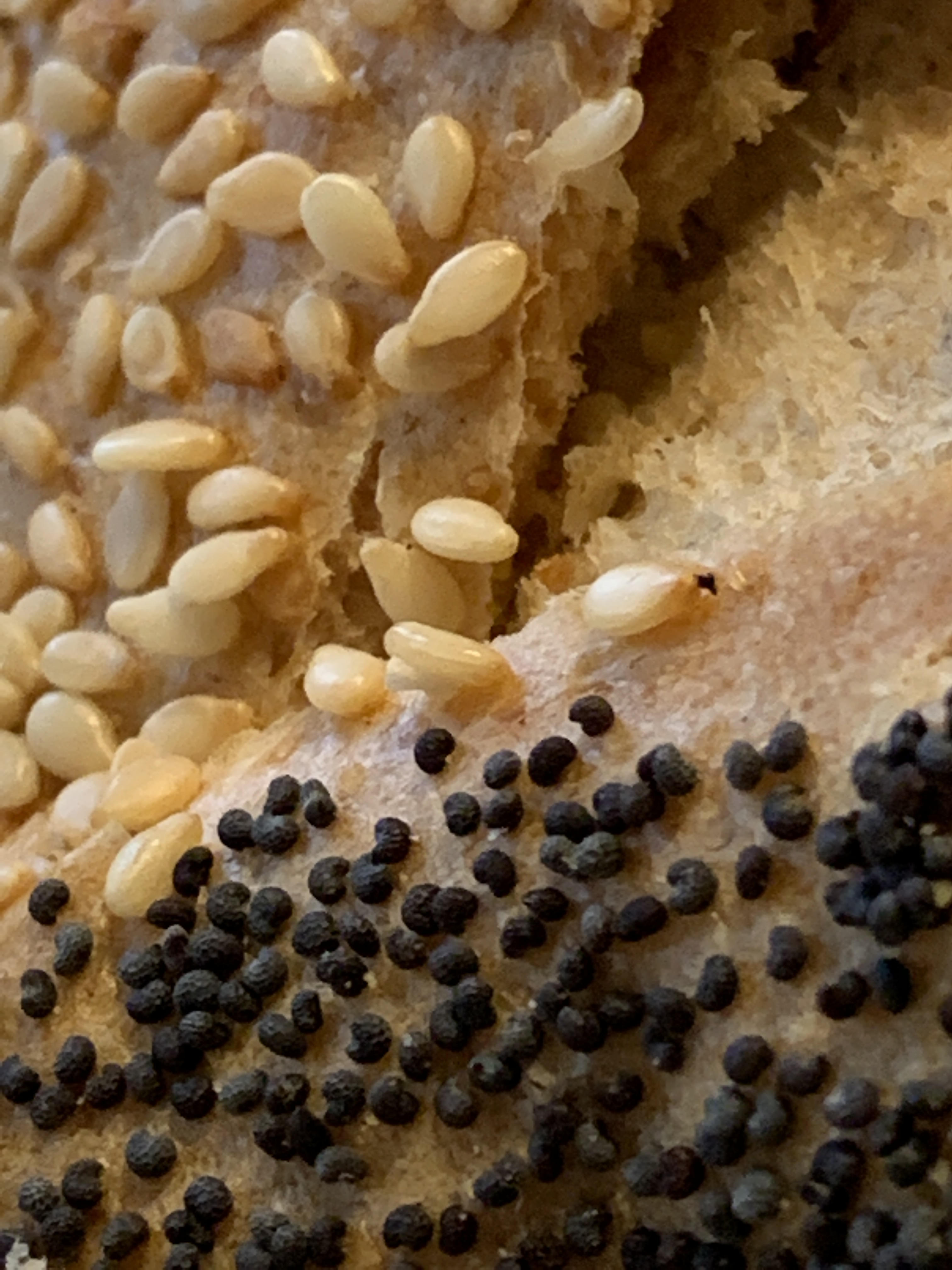 2F921001-6175-4455-A36B-CB9ED4435C6D