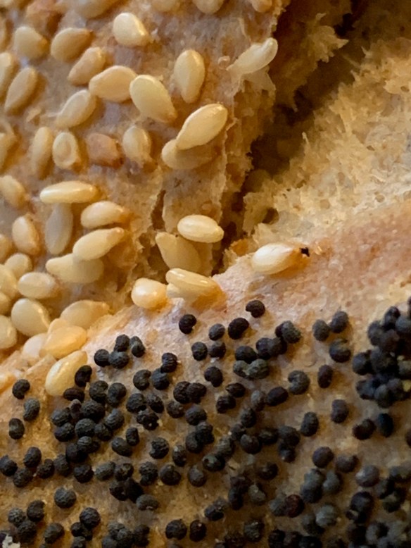 2F921001-6175-4455-A36B-CB9ED4435C6D