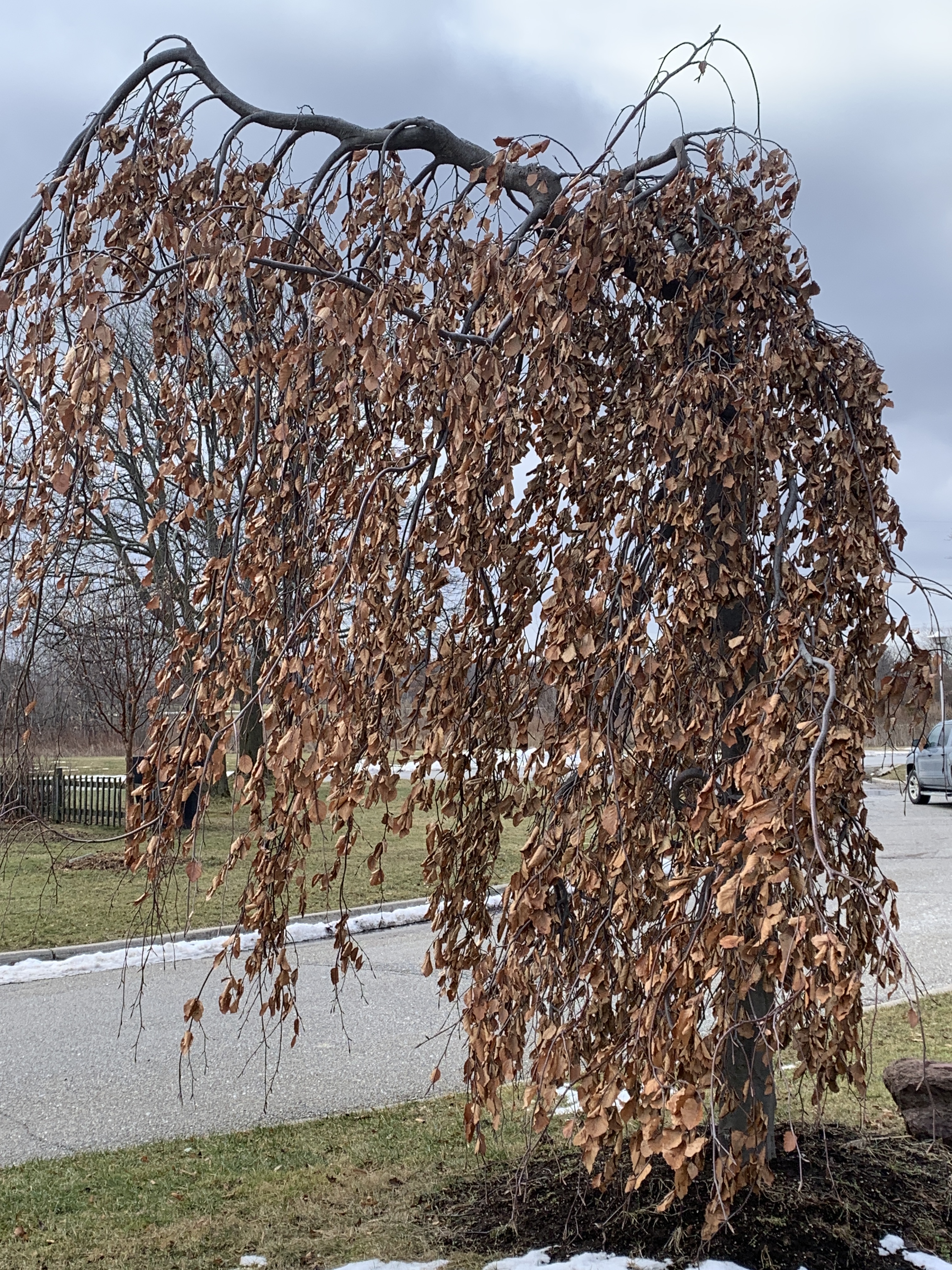 38C3FE6E-FE45-464F-B15E-A43338610A0F