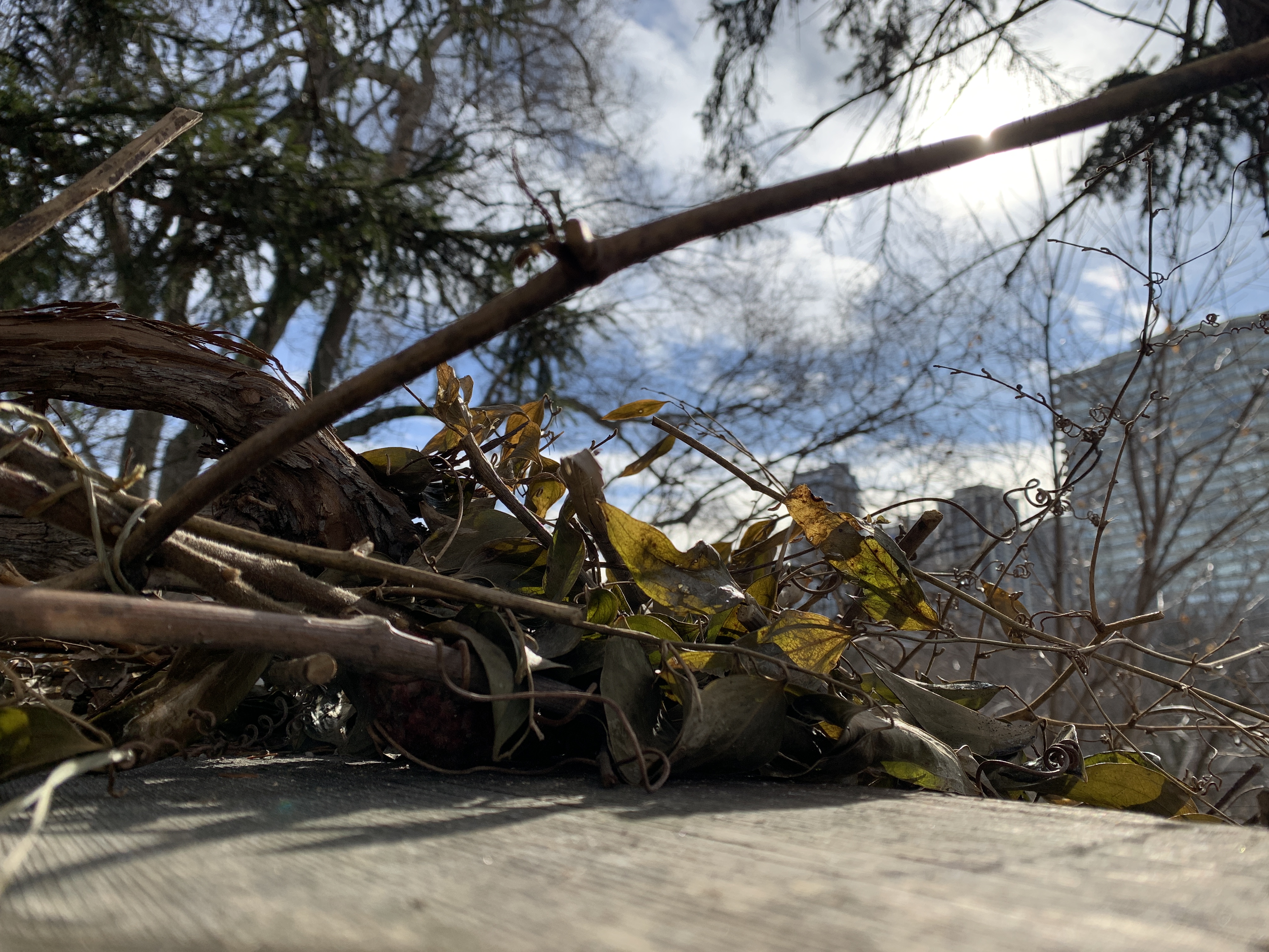 38C6DE10-4F34-4358-A4A0-BDED4E170EA0