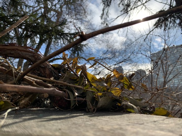 38C6DE10-4F34-4358-A4A0-BDED4E170EA0