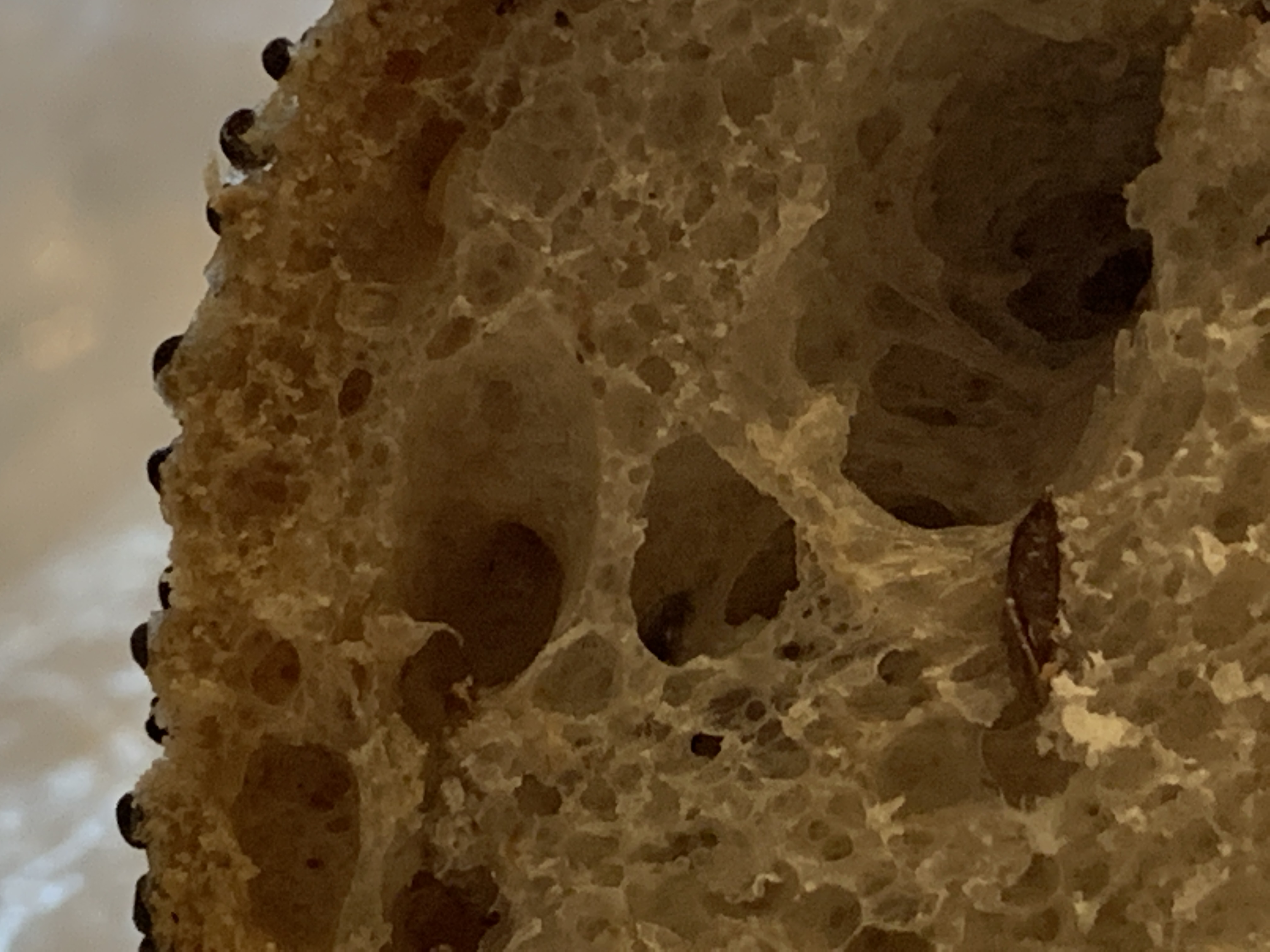 41FF6EC3-4660-468E-8BCA-E05BFD37C453