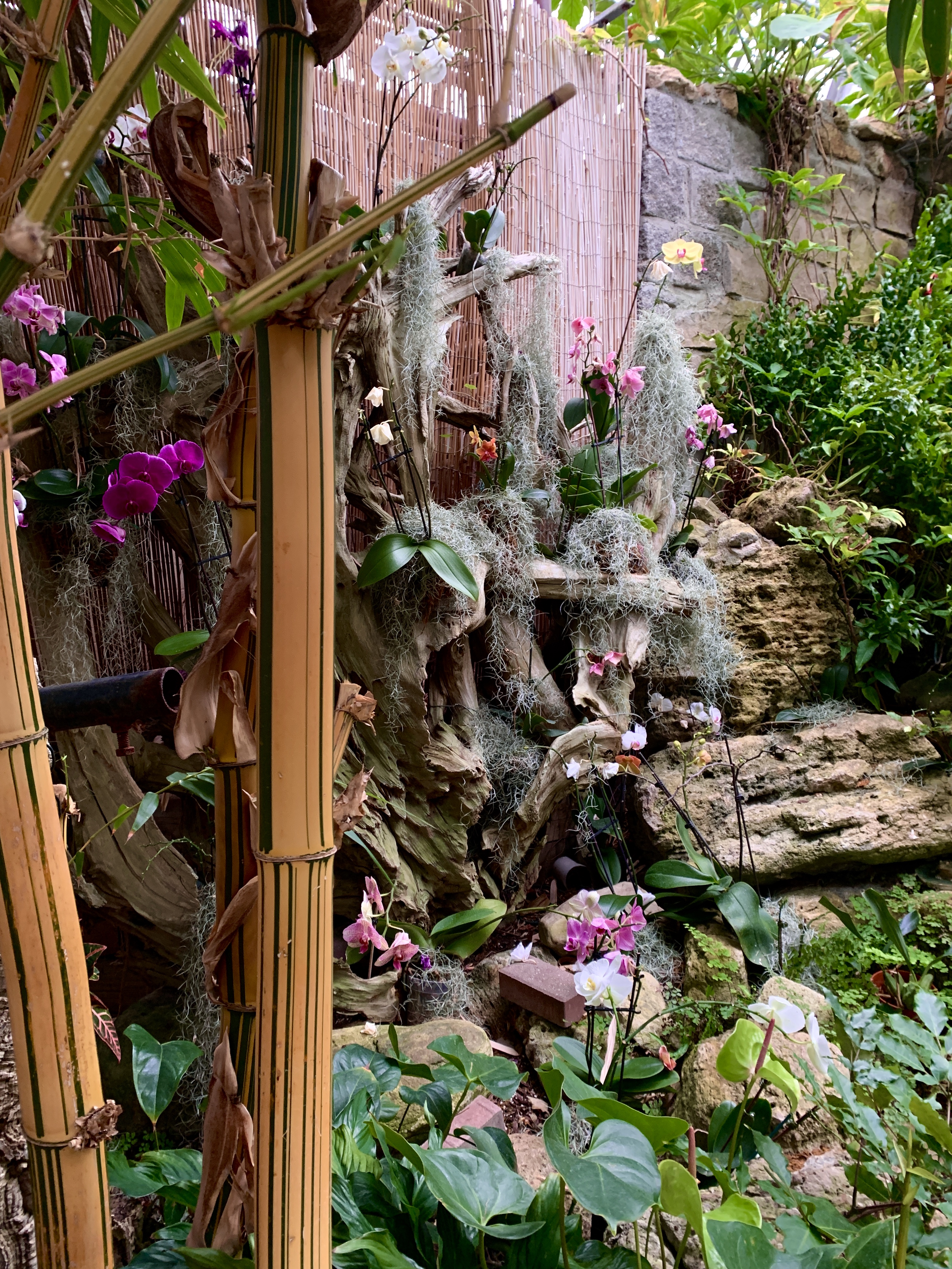 4EF1009F-9A75-4ED9-B865-F16D3D8041A8_1_201_a